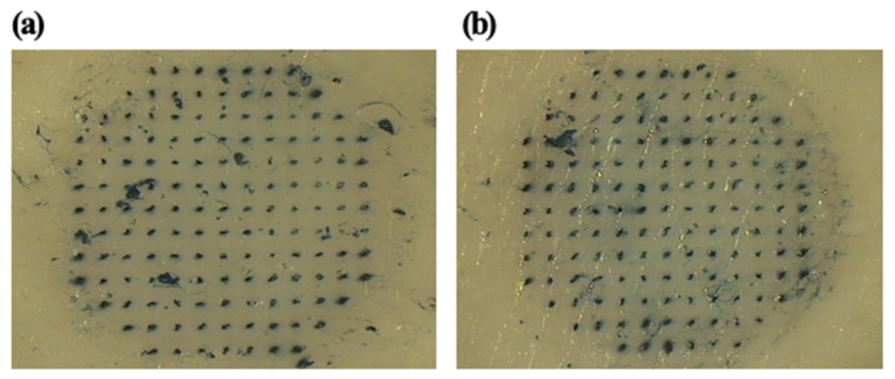 Pharmaceutics 12 00531 g004 Pharmaceutics 12 00531 g004