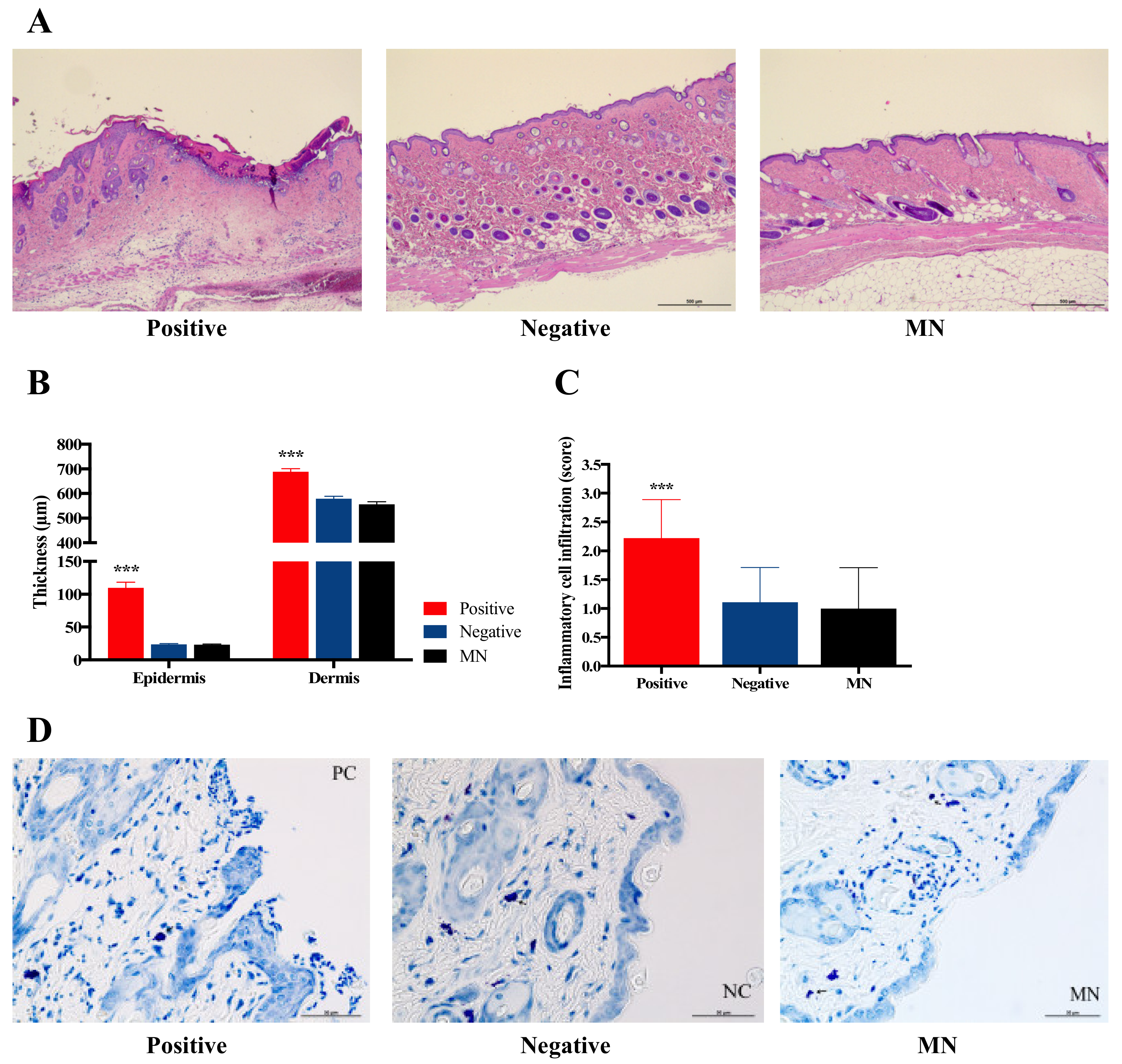 Pharmaceutics 12 00531 g010 Pharmaceutics 12 00531 g010