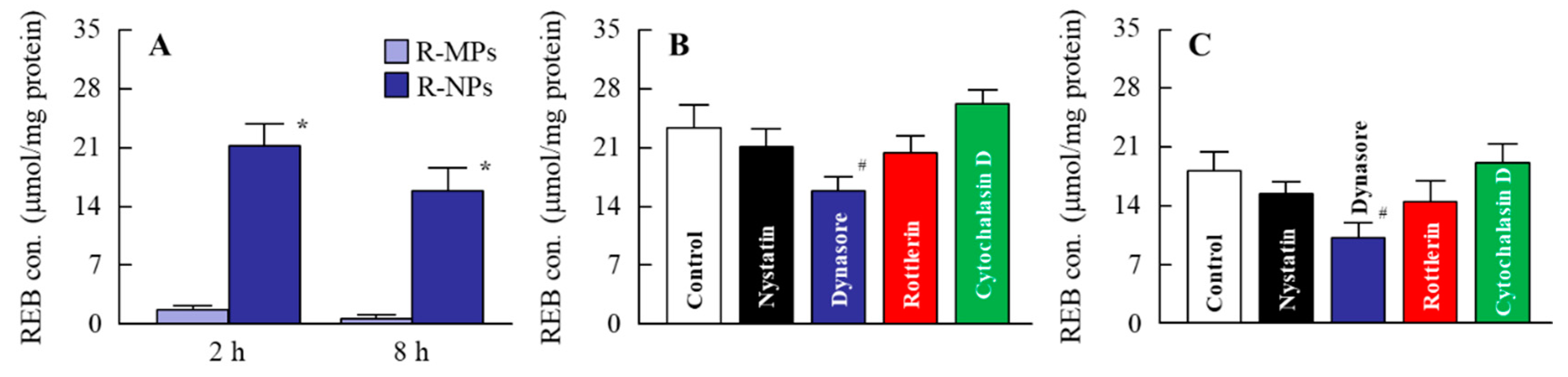 Pharmaceutics 12 00532 g004 Pharmaceutics 12 00532 g004