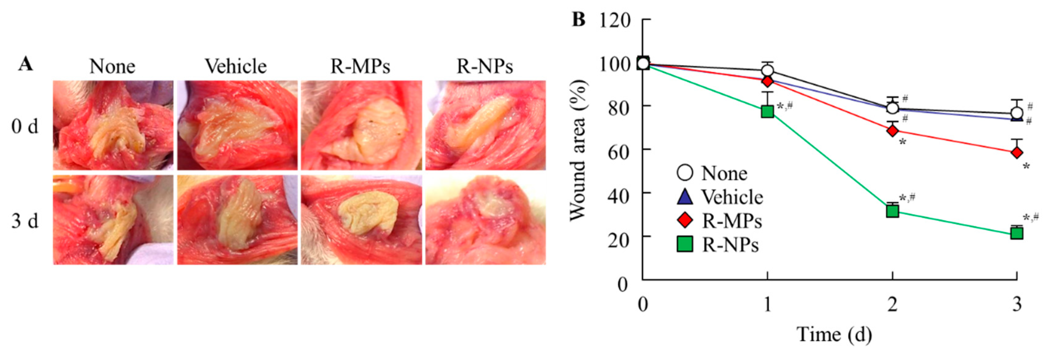 Pharmaceutics 12 00532 g005 Pharmaceutics 12 00532 g005