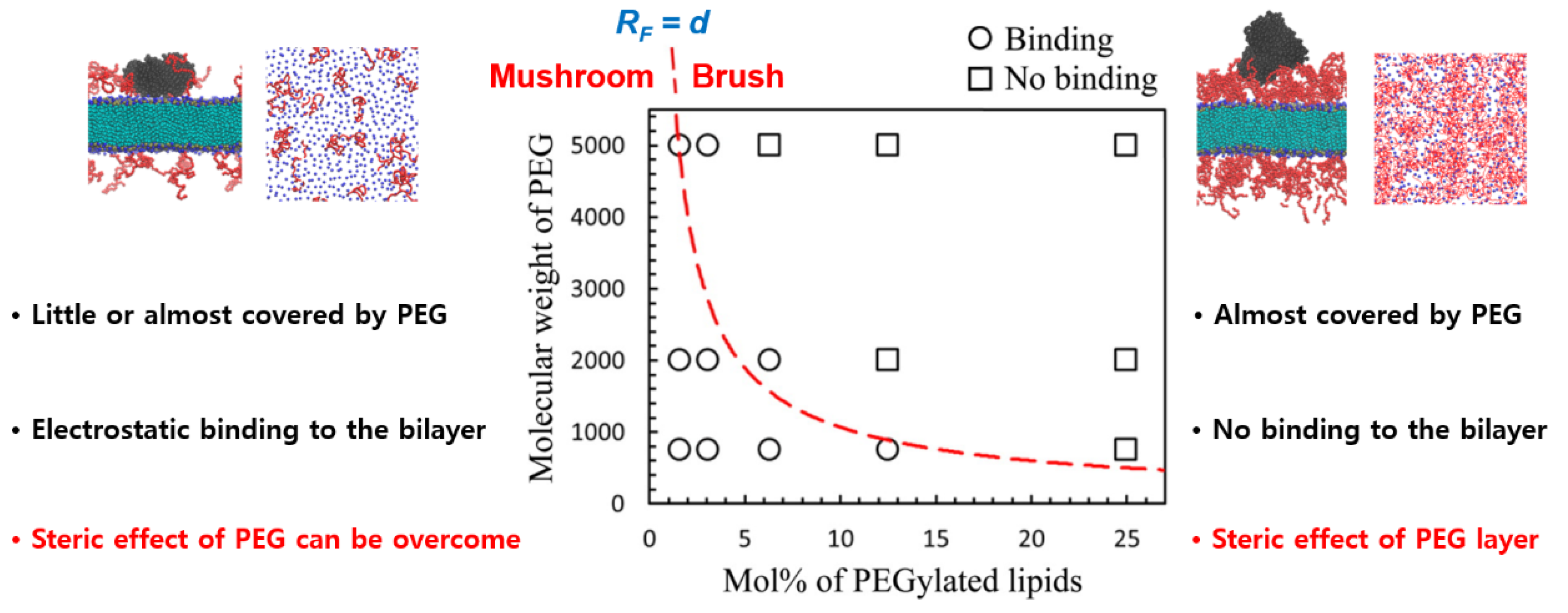 Pharmaceutics 12 00533 g007 Pharmaceutics 12 00533 g007