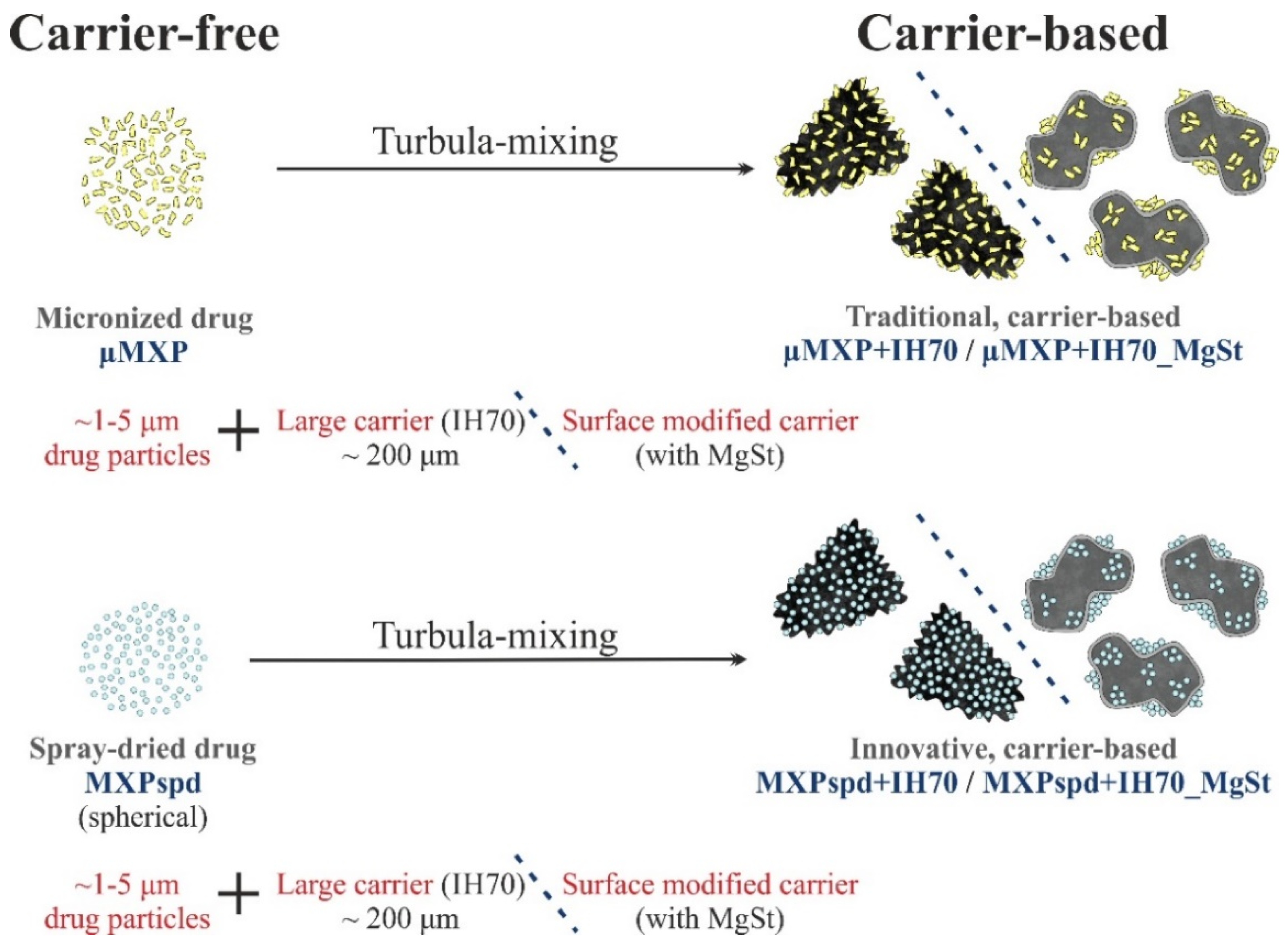 Pharmaceutics 12 00535 g001