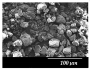 Pharmaceutics 12 00535 i001