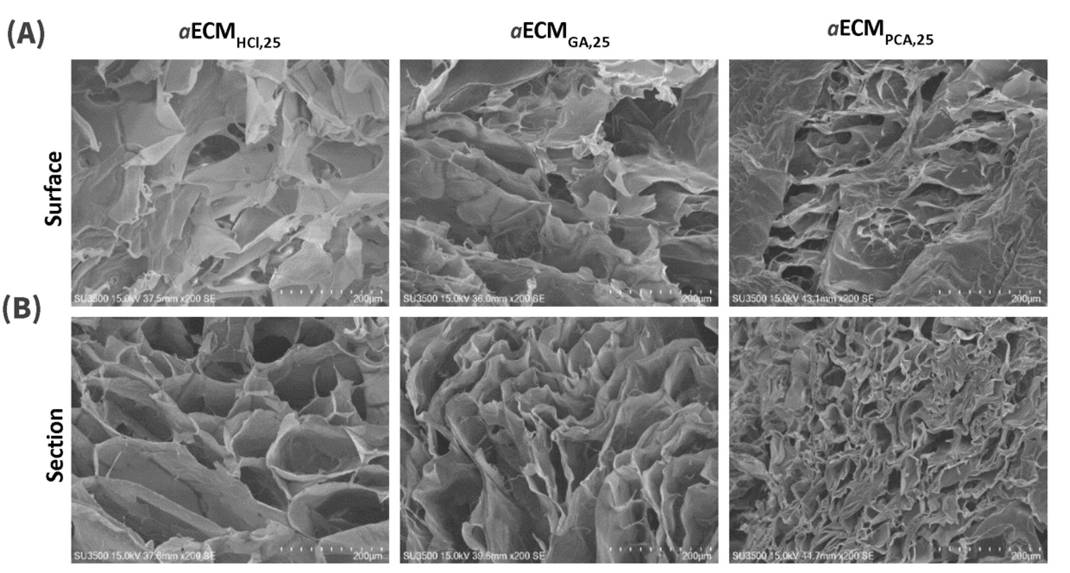 Pharmaceutics 12 00538 g003 Pharmaceutics 12 00538 g003
