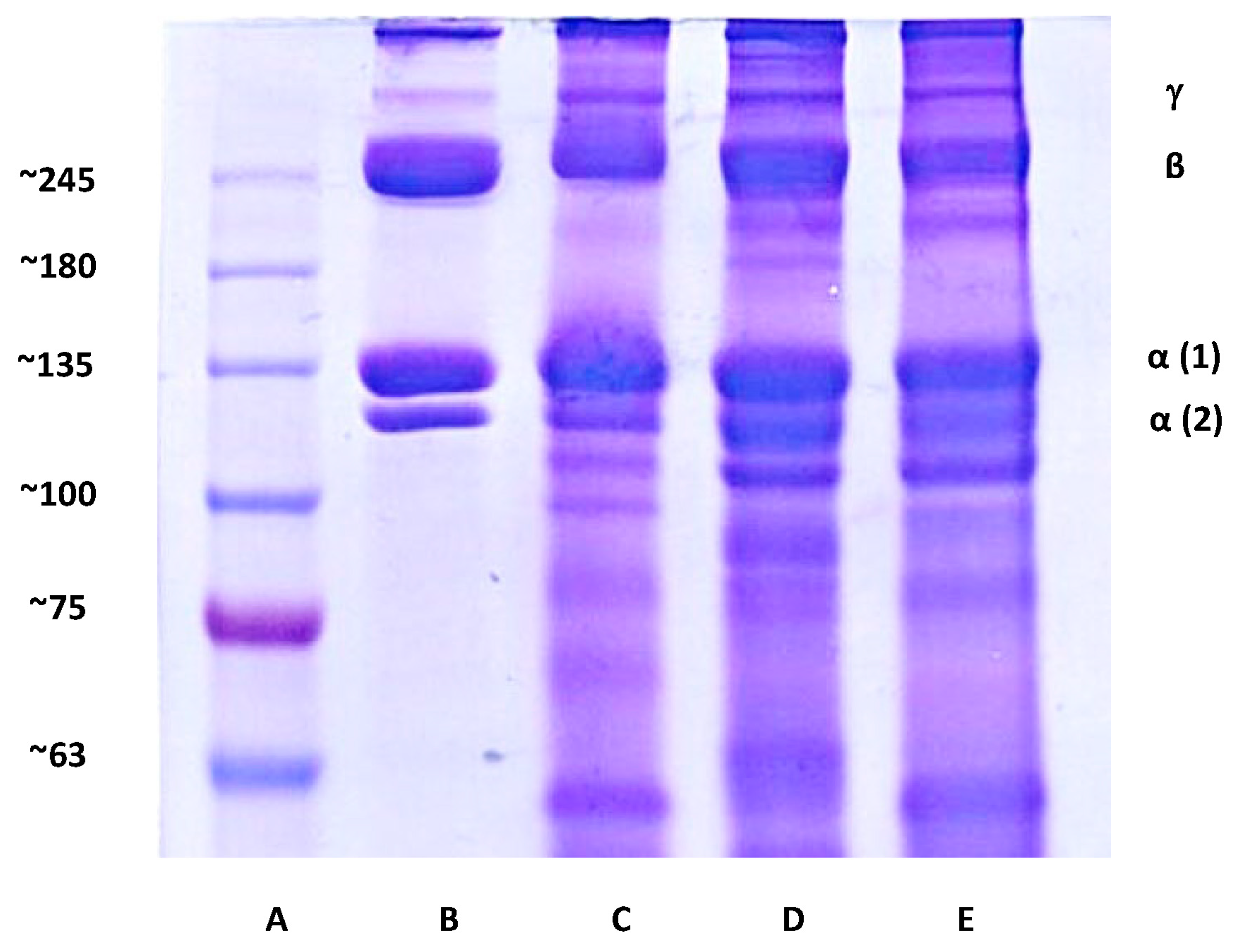 Pharmaceutics 12 00538 g004 Pharmaceutics 12 00538 g004