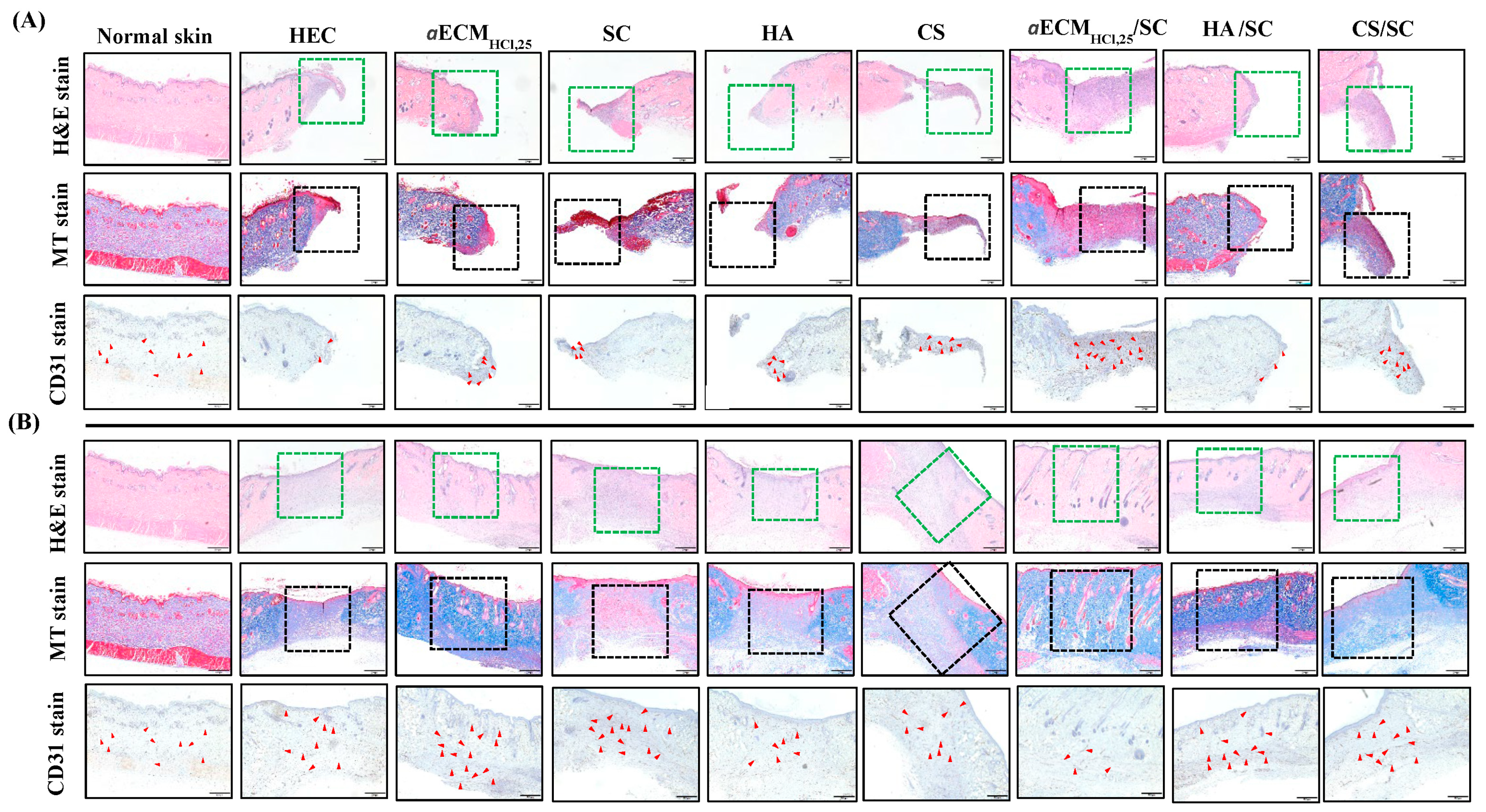 Pharmaceutics 12 00538 g007 Pharmaceutics 12 00538 g007