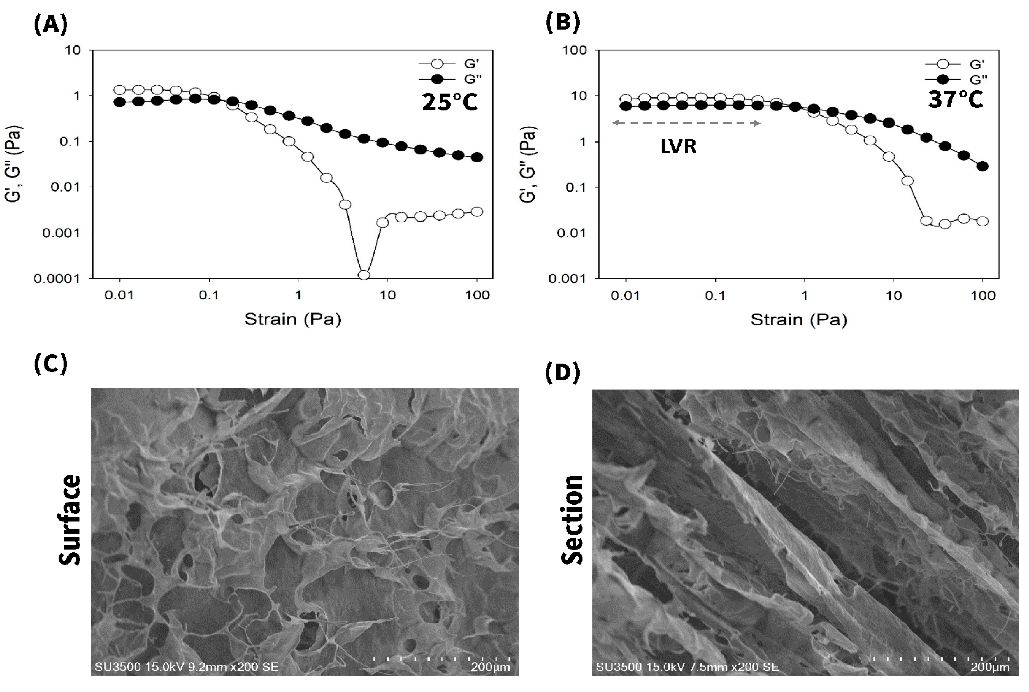 Pharmaceutics 12 00538 g008 Pharmaceutics 12 00538 g008
