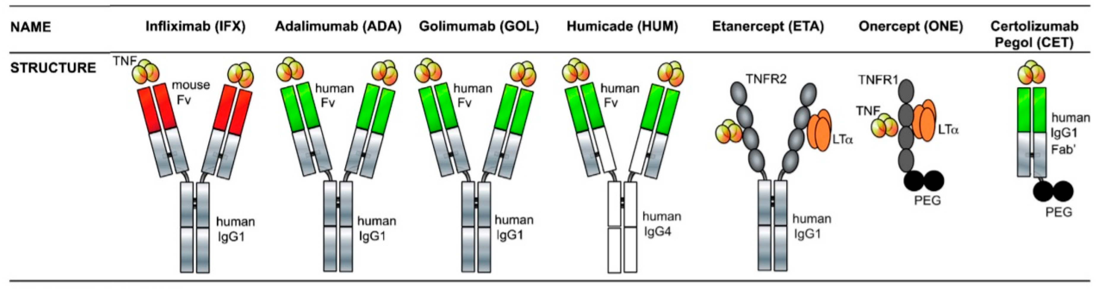 Pharmaceutics 12 00539 g002
