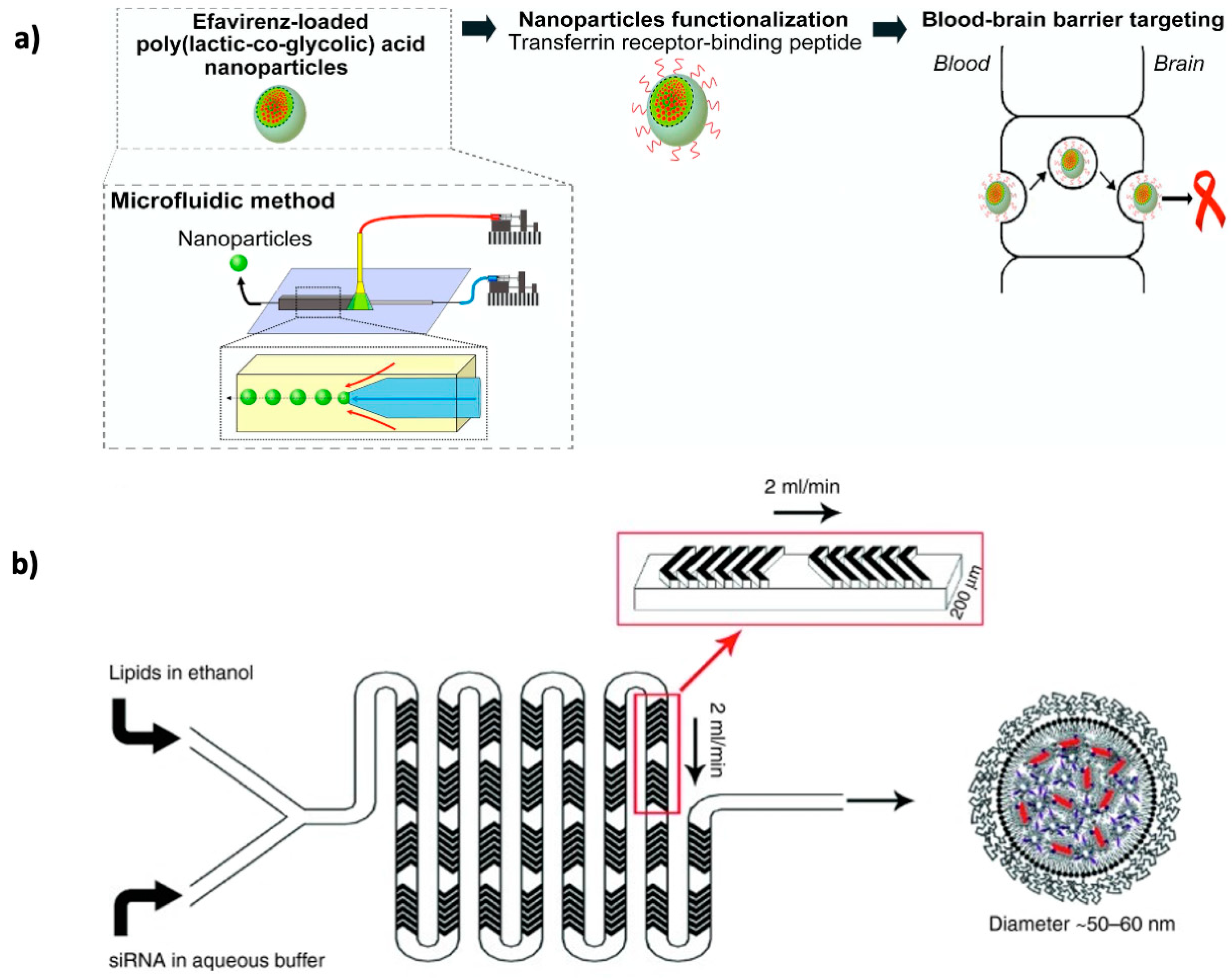Pharmaceutics 12 00542 g006