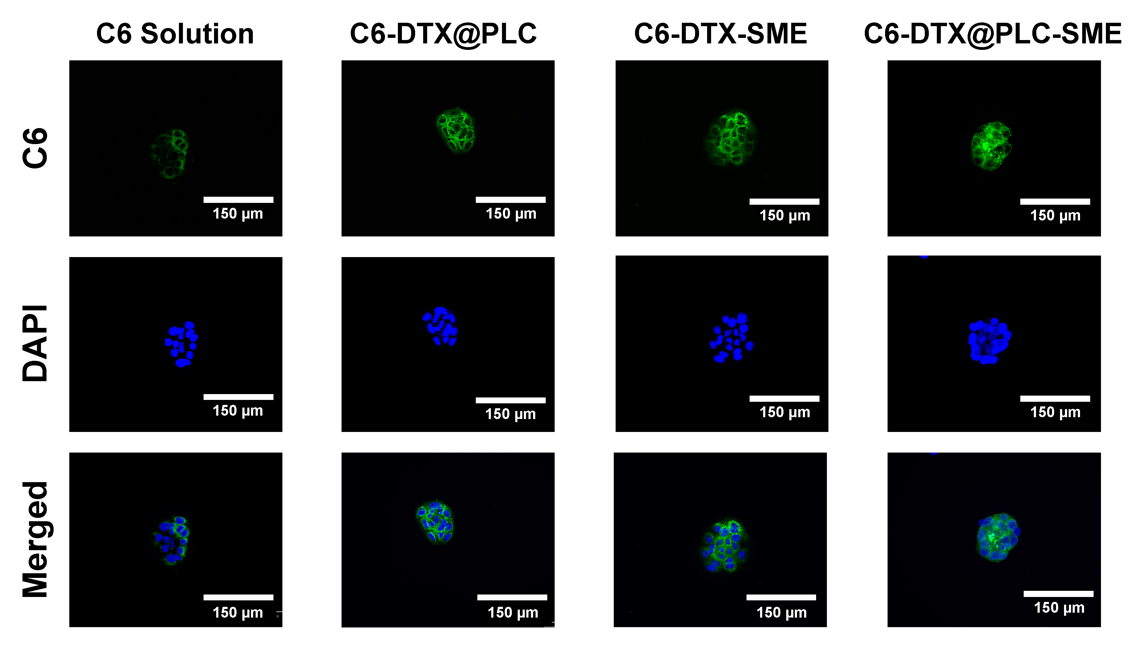 Pharmaceutics 12 00544 g008