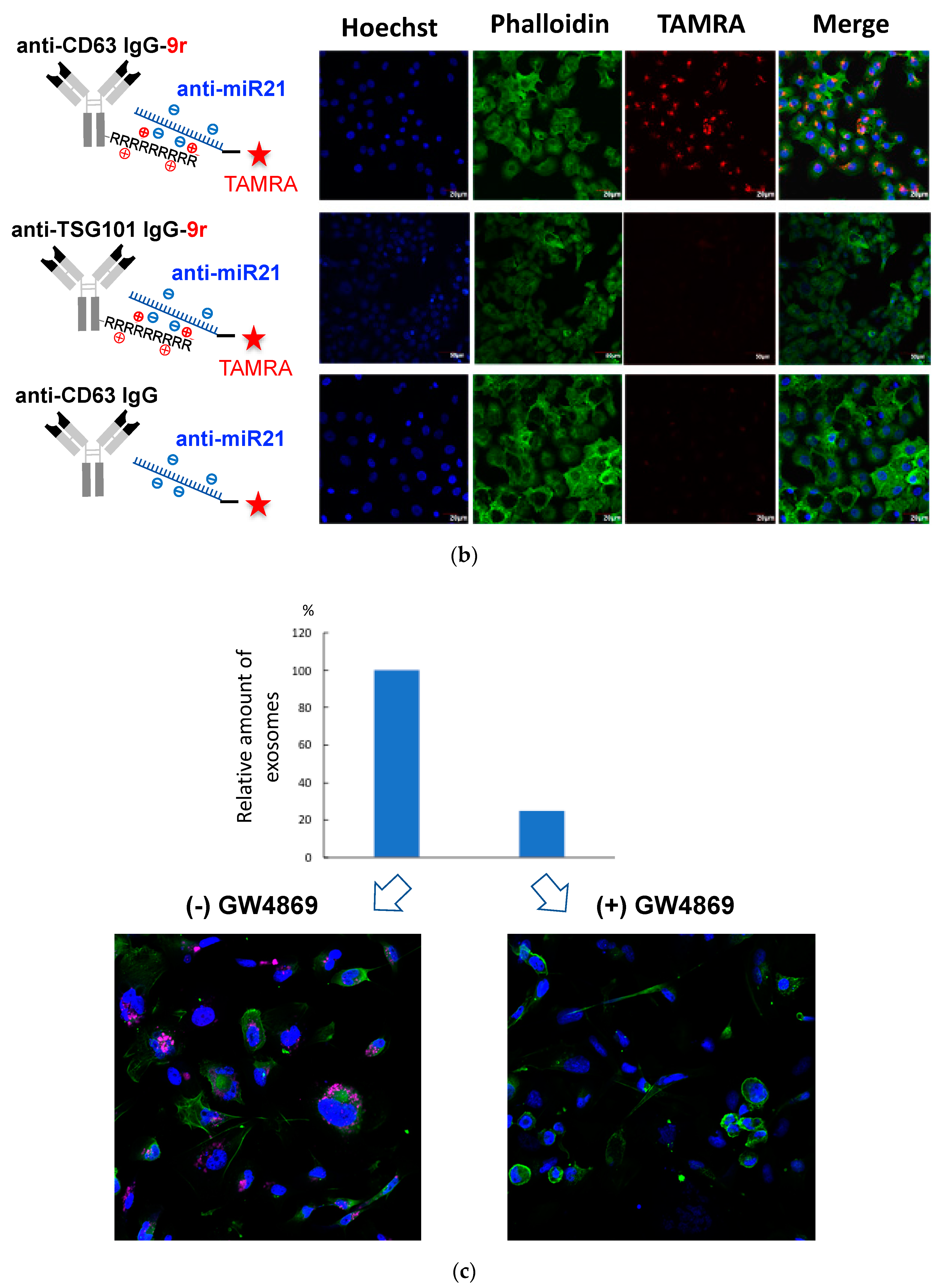 Pharmaceutics 12 00545 g003b