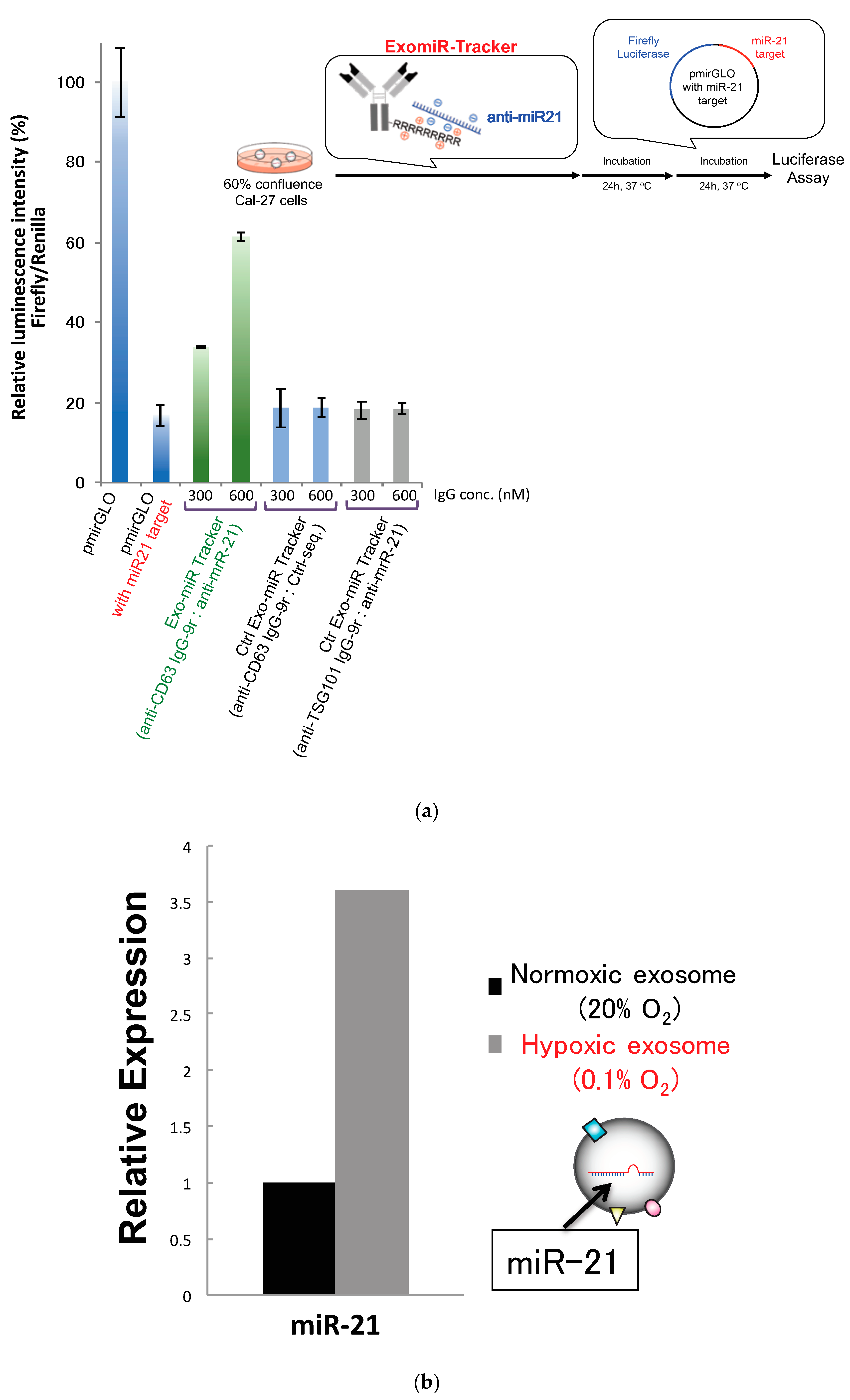 Pharmaceutics 12 00545 g004a