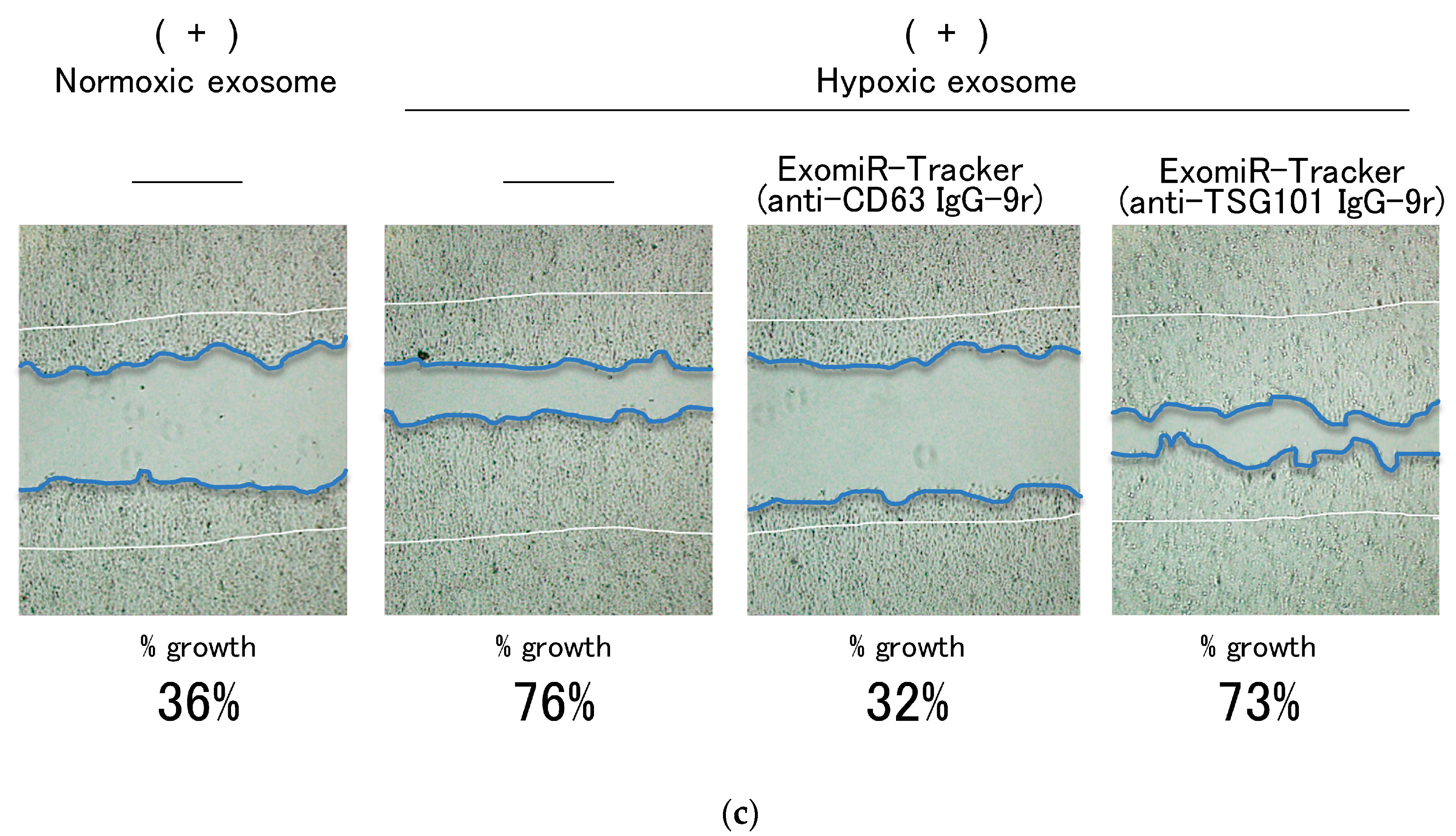 Pharmaceutics 12 00545 g004b
