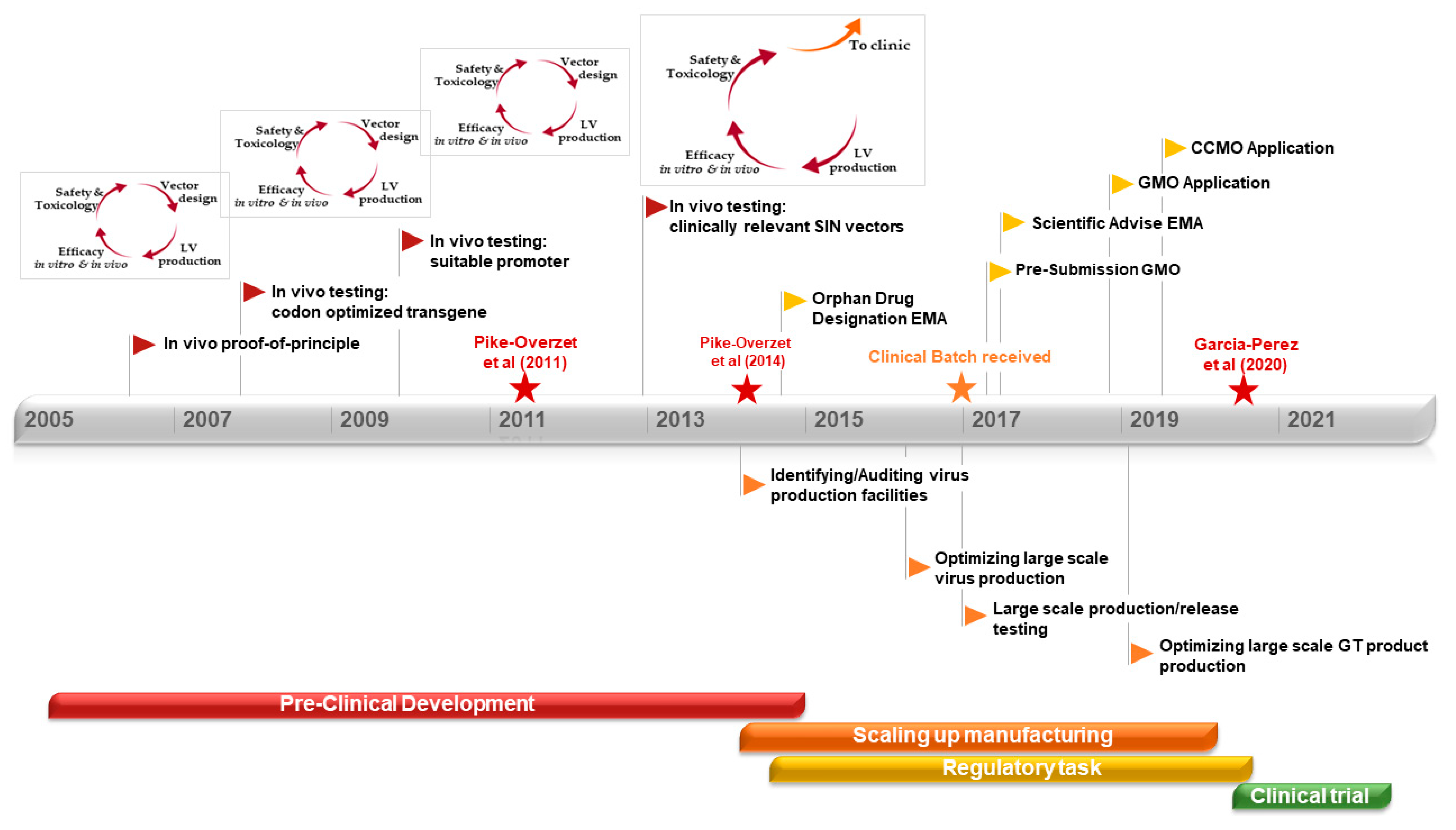Pharmaceutics 12 00549 g002