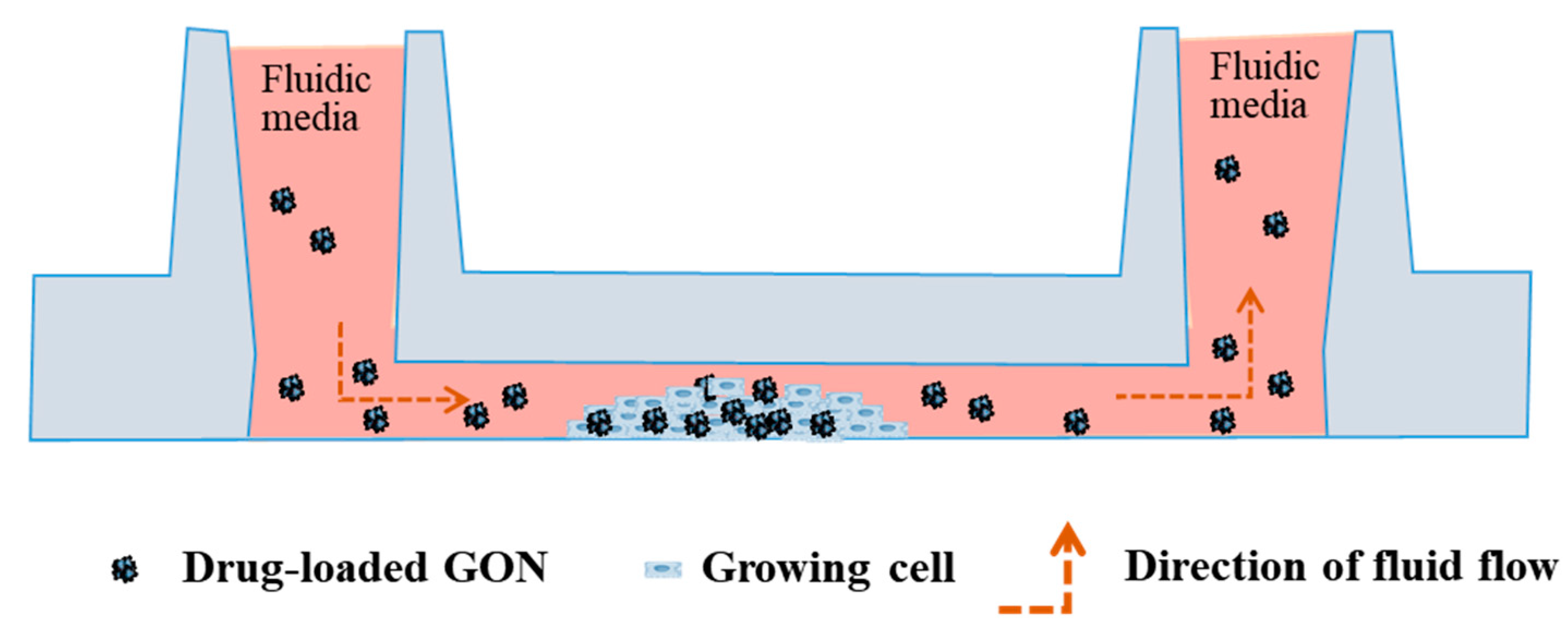 Pharmaceutics 12 00555 g002