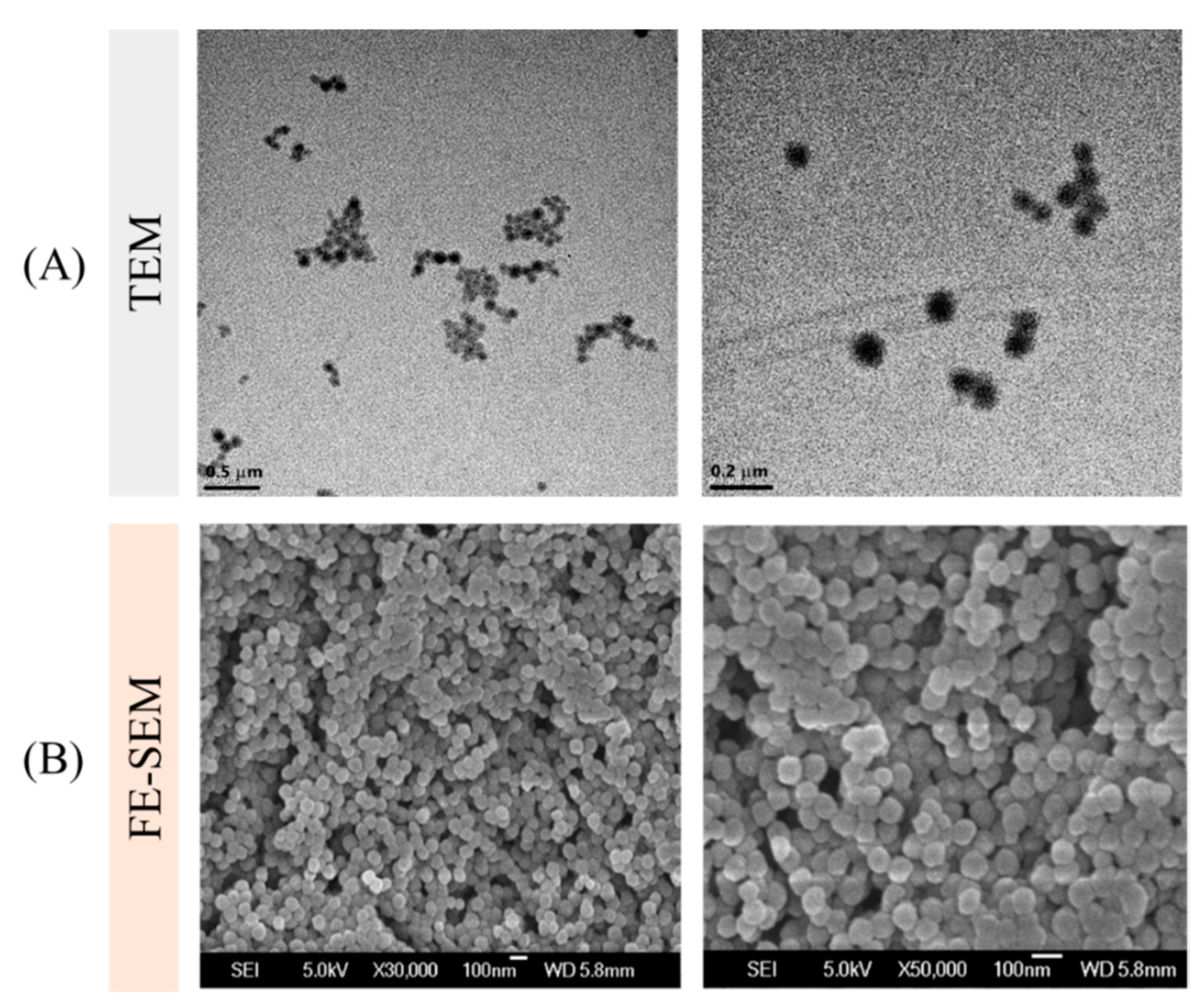 Pharmaceutics 12 00555 g003