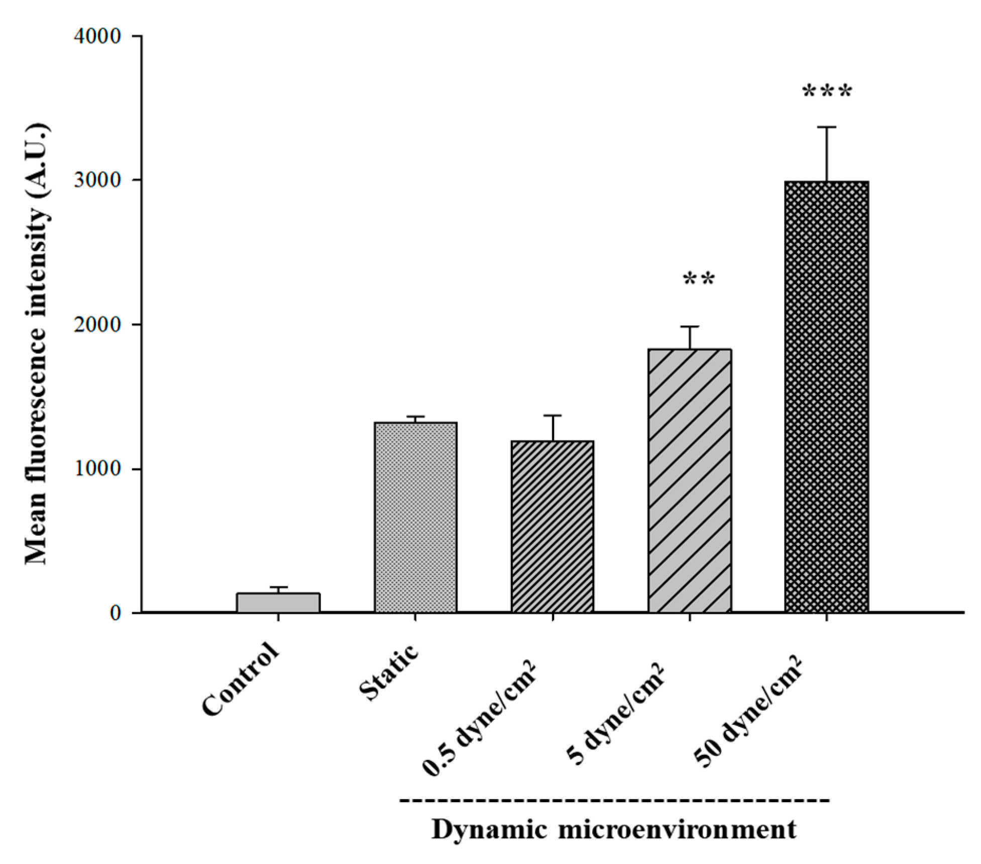 Pharmaceutics 12 00555 g005