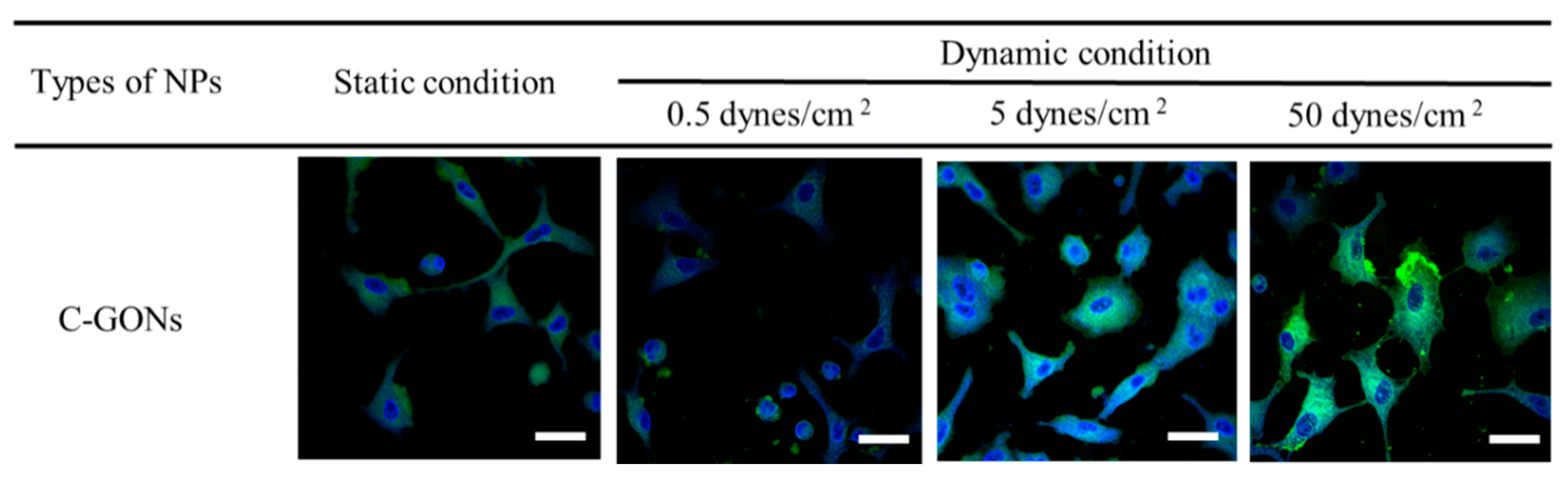 Pharmaceutics 12 00555 g006