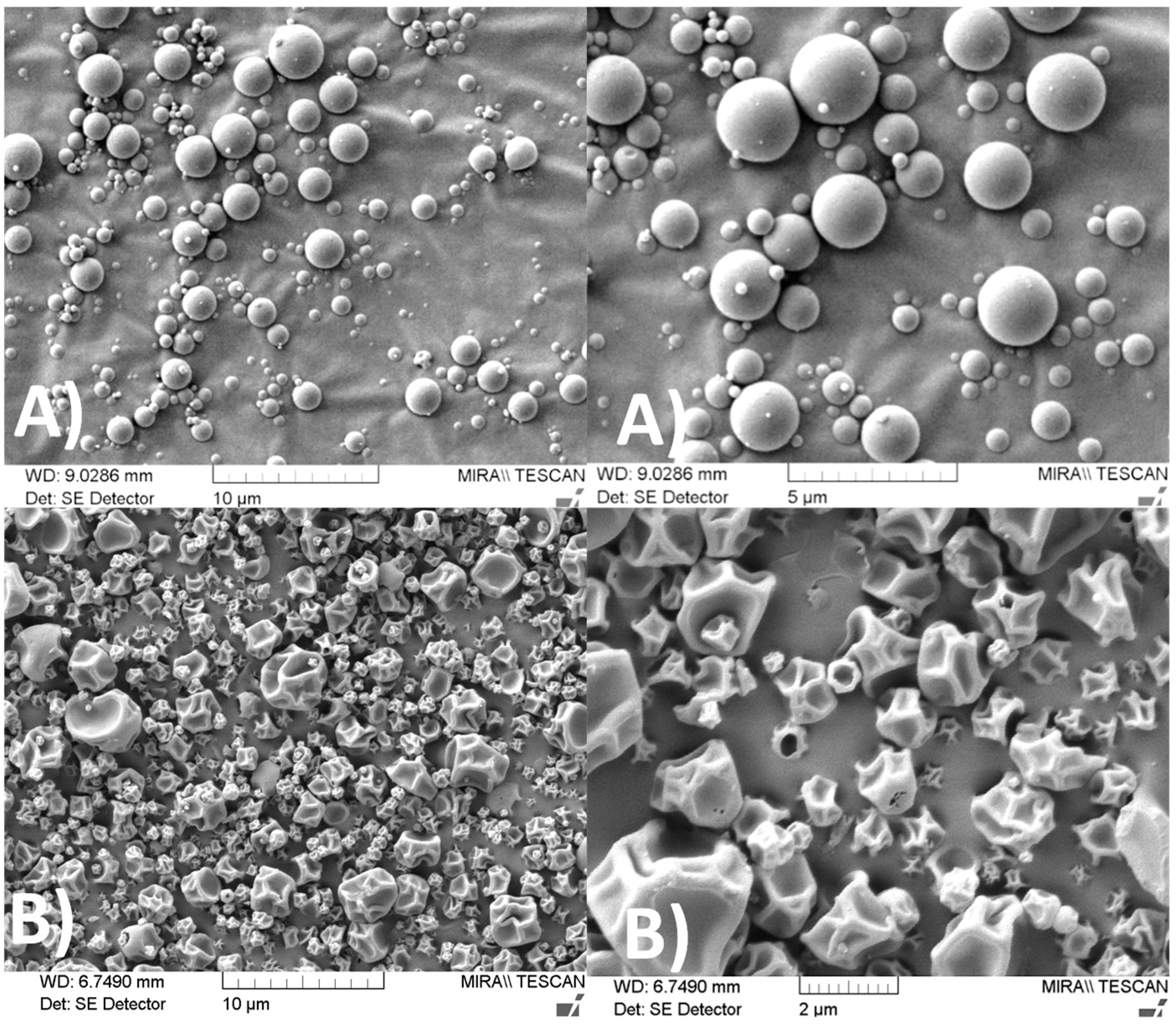Pharmaceutics 12 00557 g002