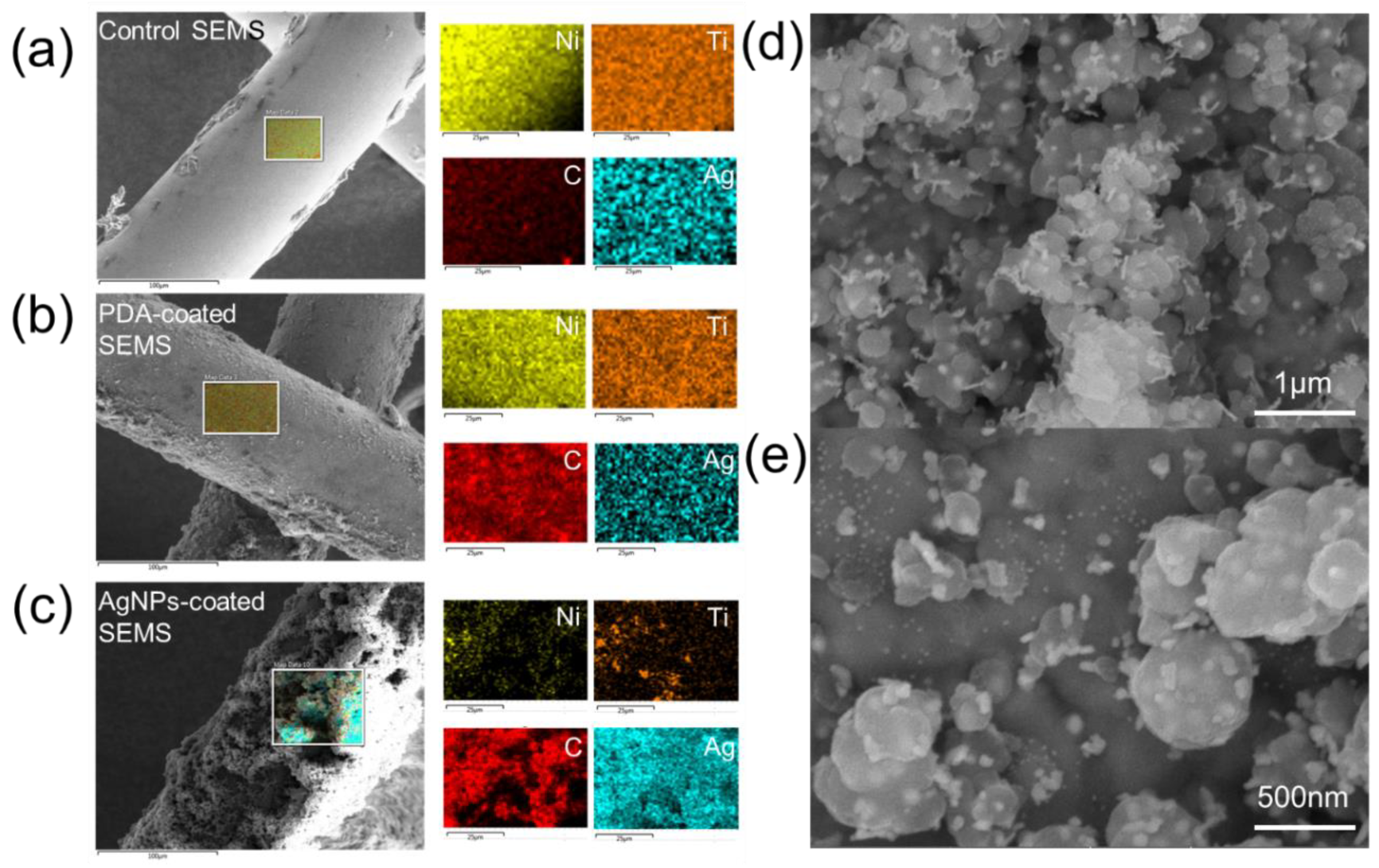Pharmaceutics 12 00563 g001