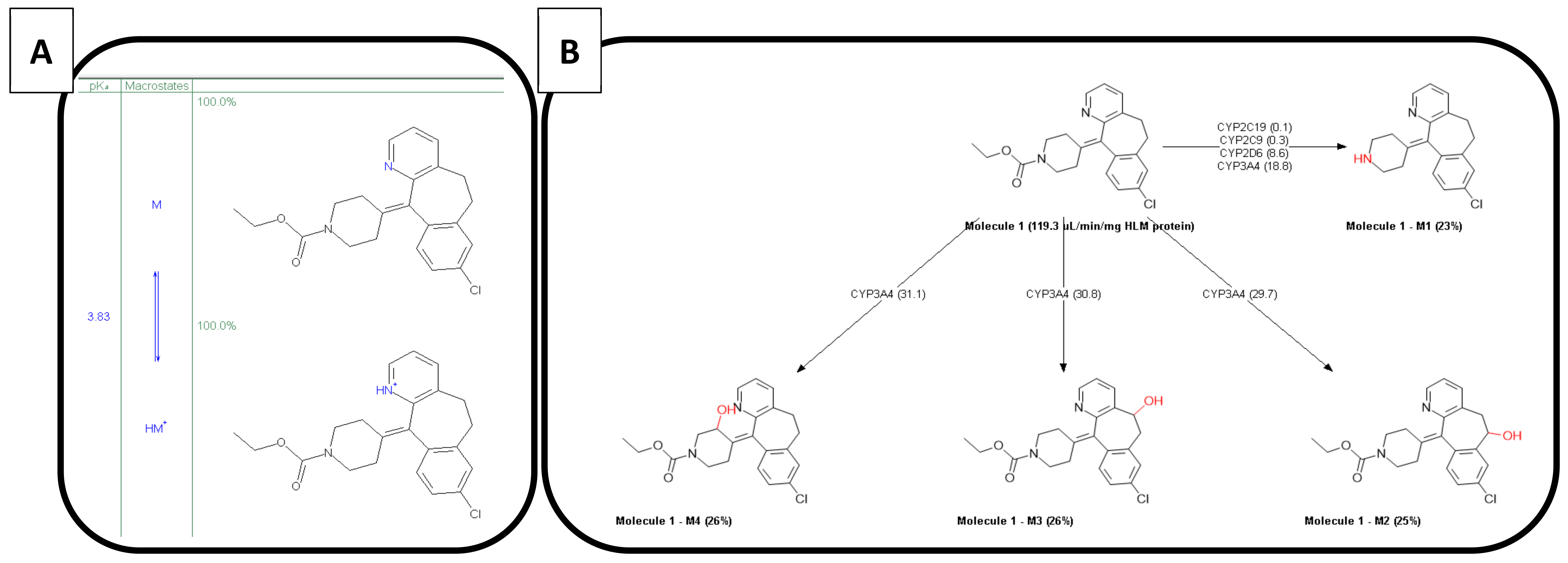 Pharmaceutics 12 00566 g004
