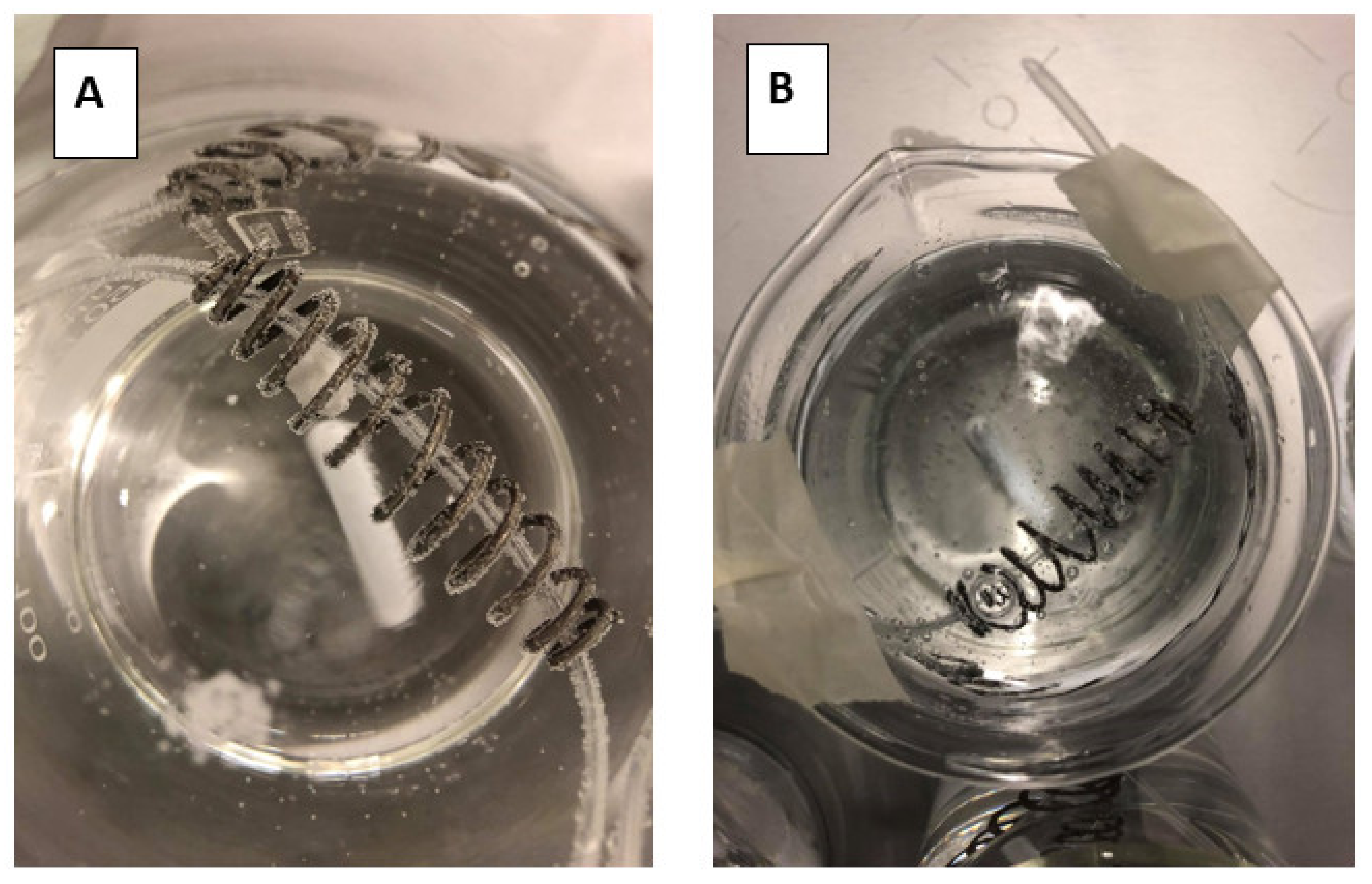 Pharmaceutics 12 00566 g008