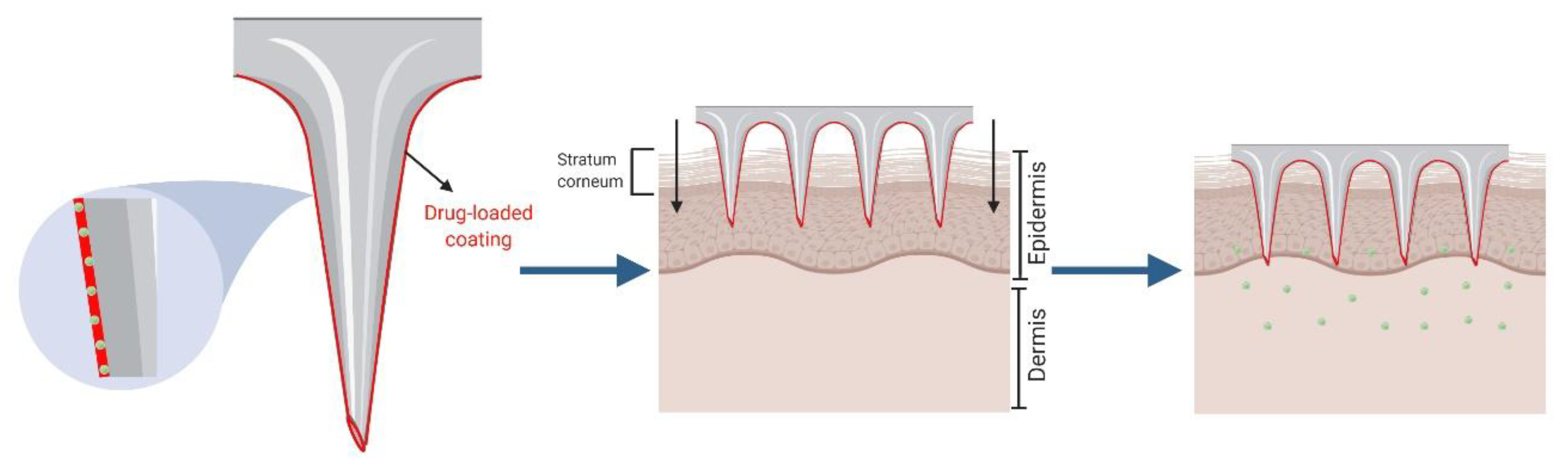Pharmaceutics 12 00569 g002 Pharmaceutics 12 00569 g002