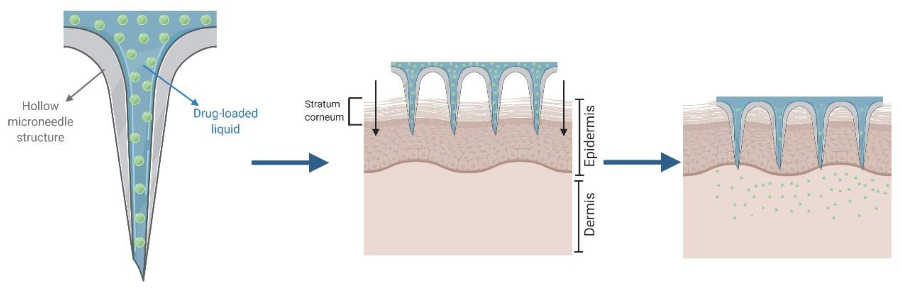 Pharmaceutics 12 00569 g006 Pharmaceutics 12 00569 g006