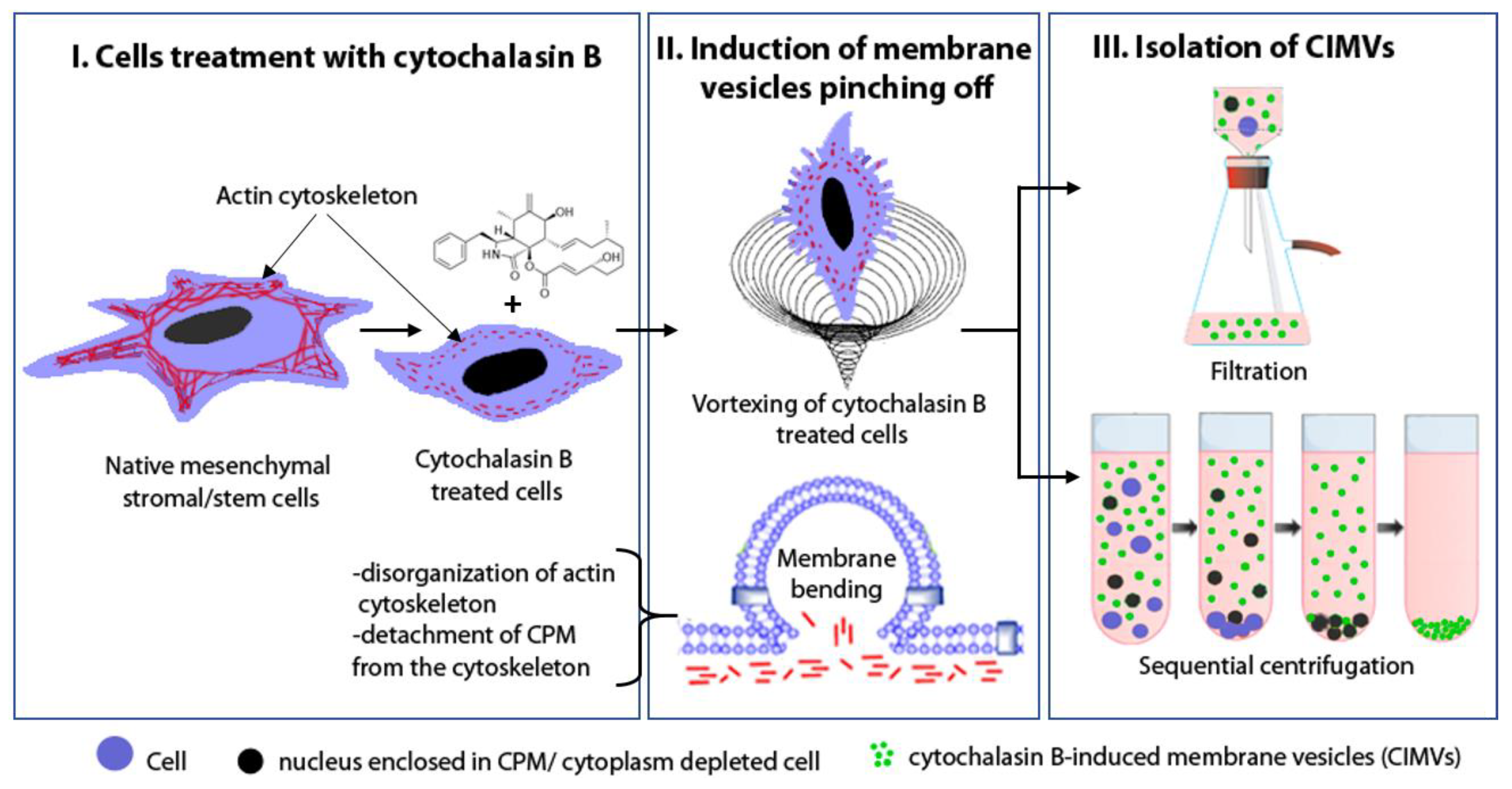 Pharmaceutics 12 00577 g001 Pharmaceutics 12 00577 g001