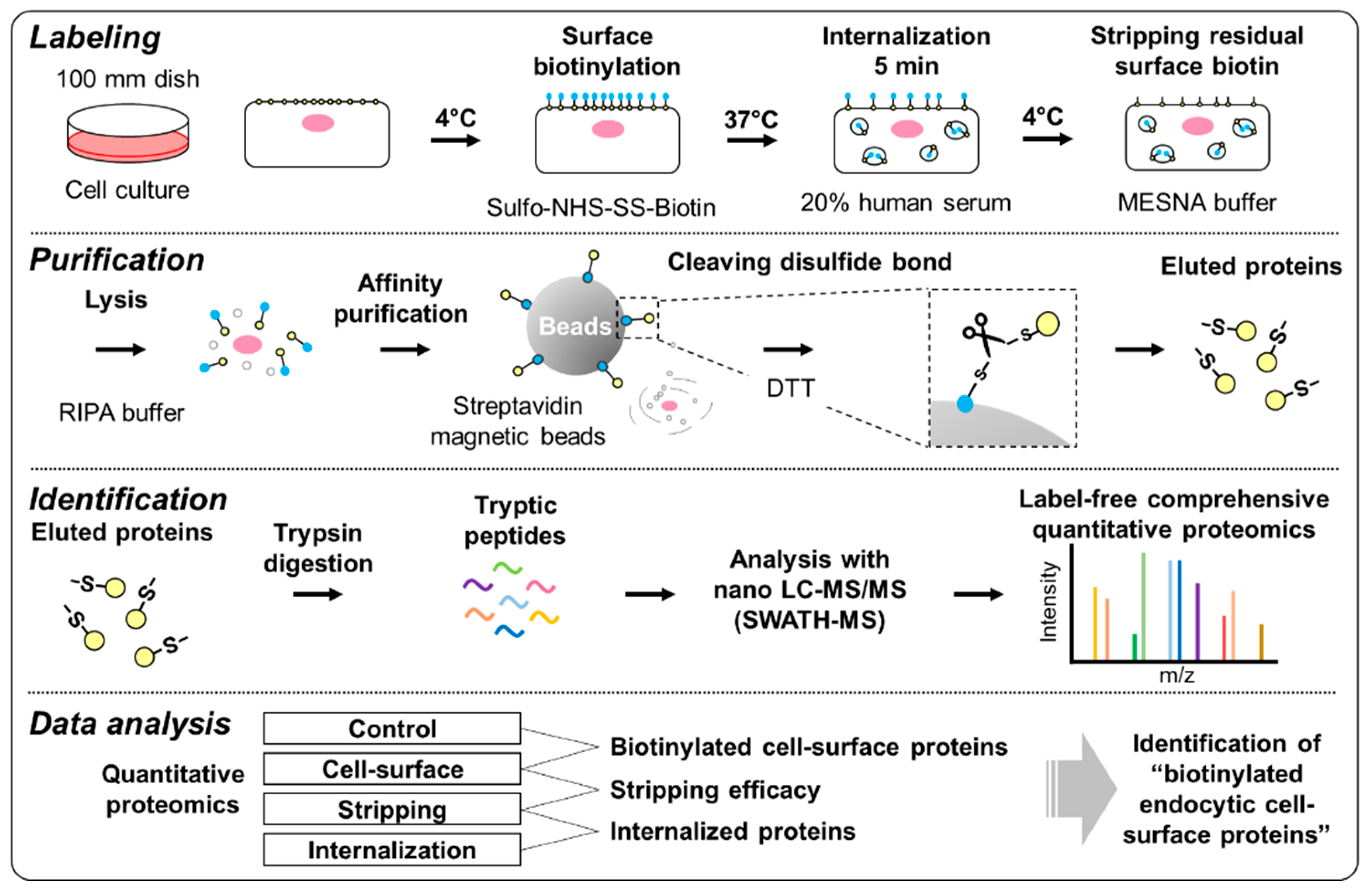 Pharmaceutics 12 00579 g001 Pharmaceutics 12 00579 g001