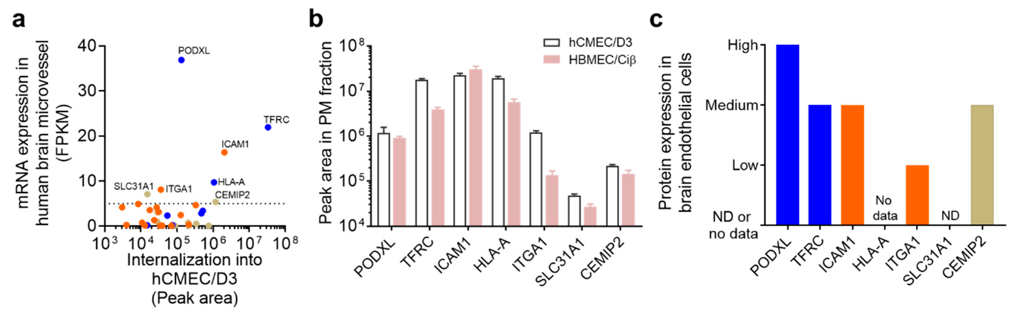 Pharmaceutics 12 00579 g006 Pharmaceutics 12 00579 g006