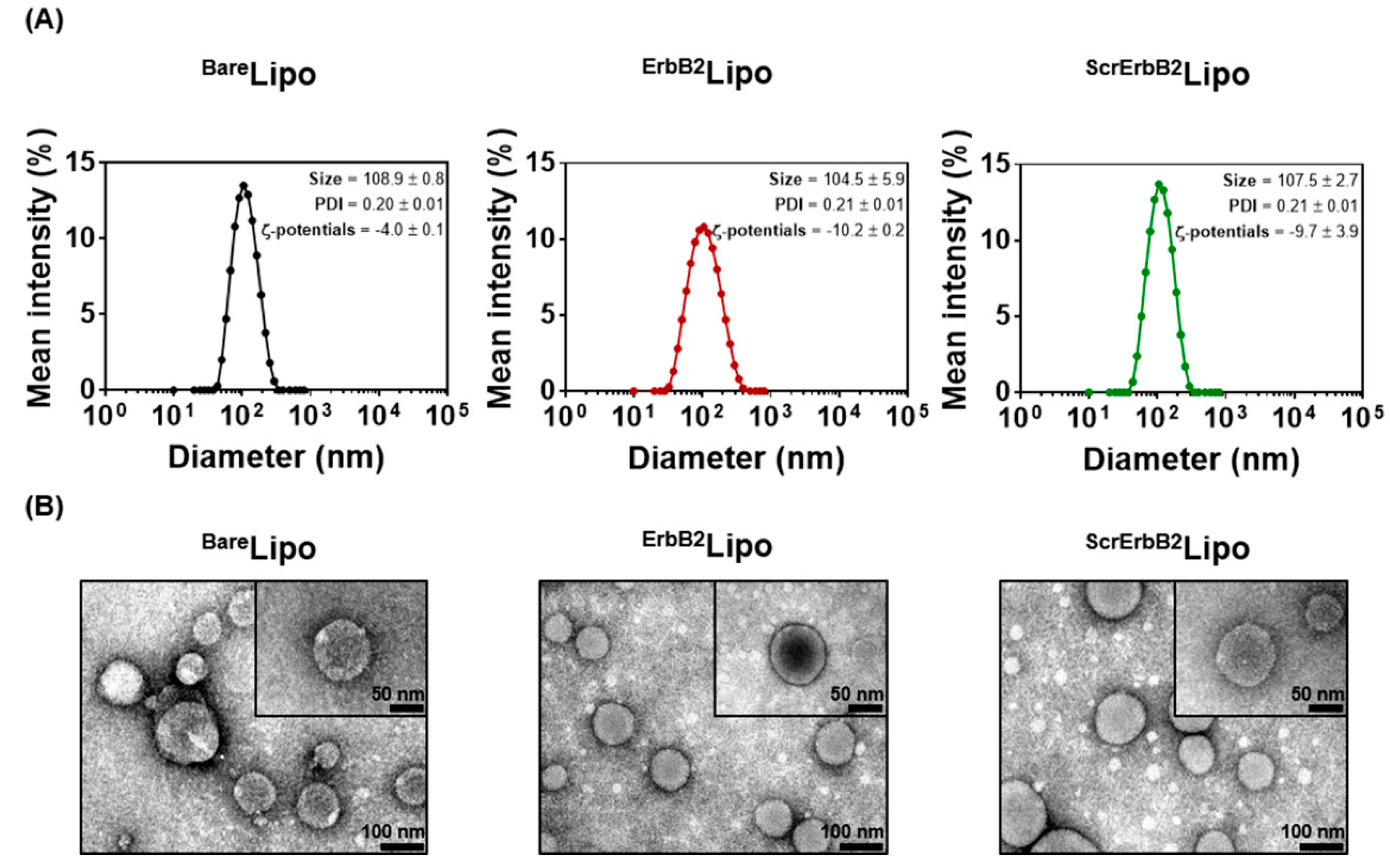 Pharmaceutics 12 00585 g003 Pharmaceutics 12 00585 g003