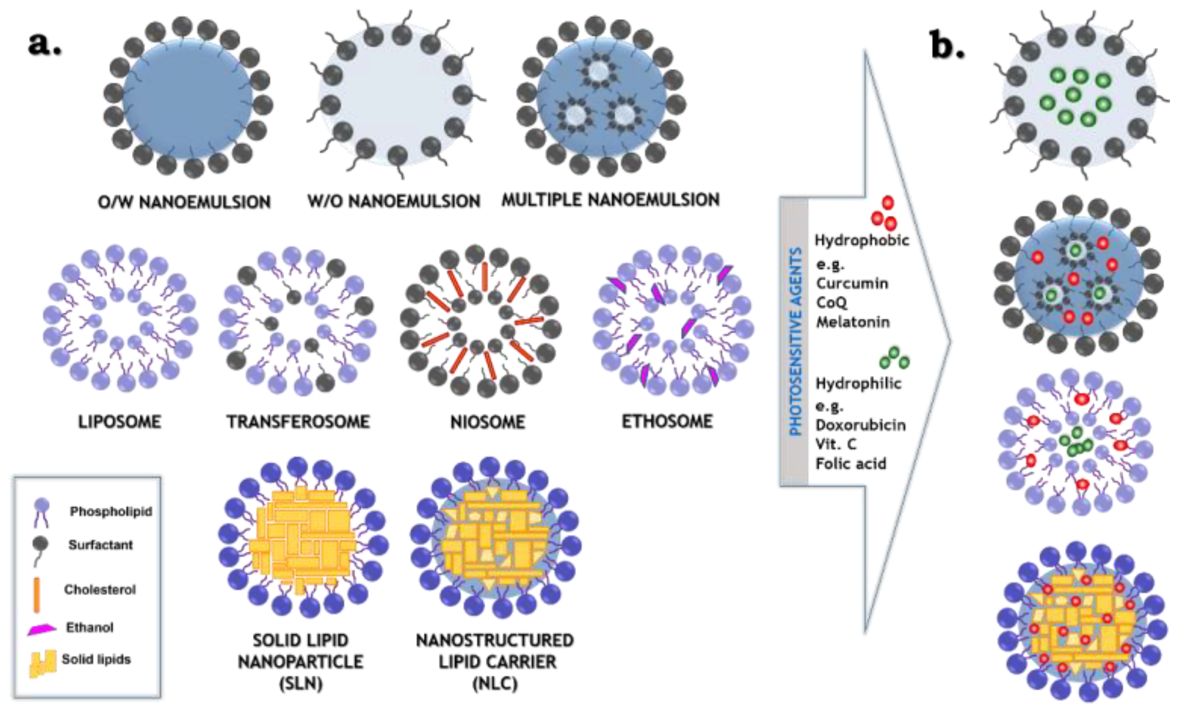 Pharmaceutics 12 00587 g001 Pharmaceutics 12 00587 g001