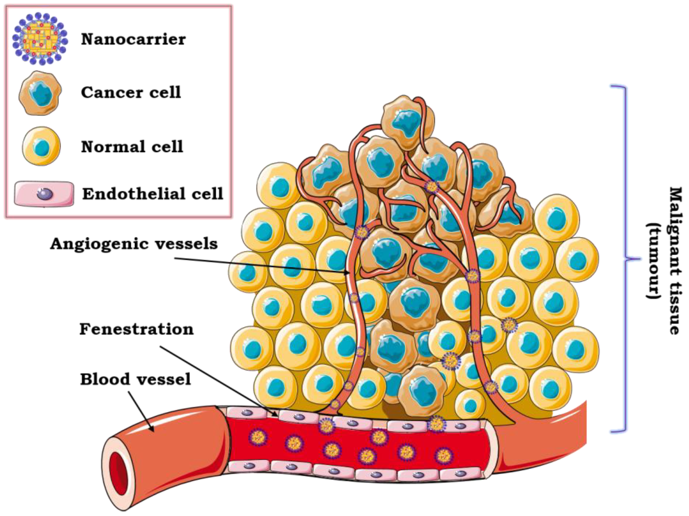 Pharmaceutics 12 00587 g003 Pharmaceutics 12 00587 g003