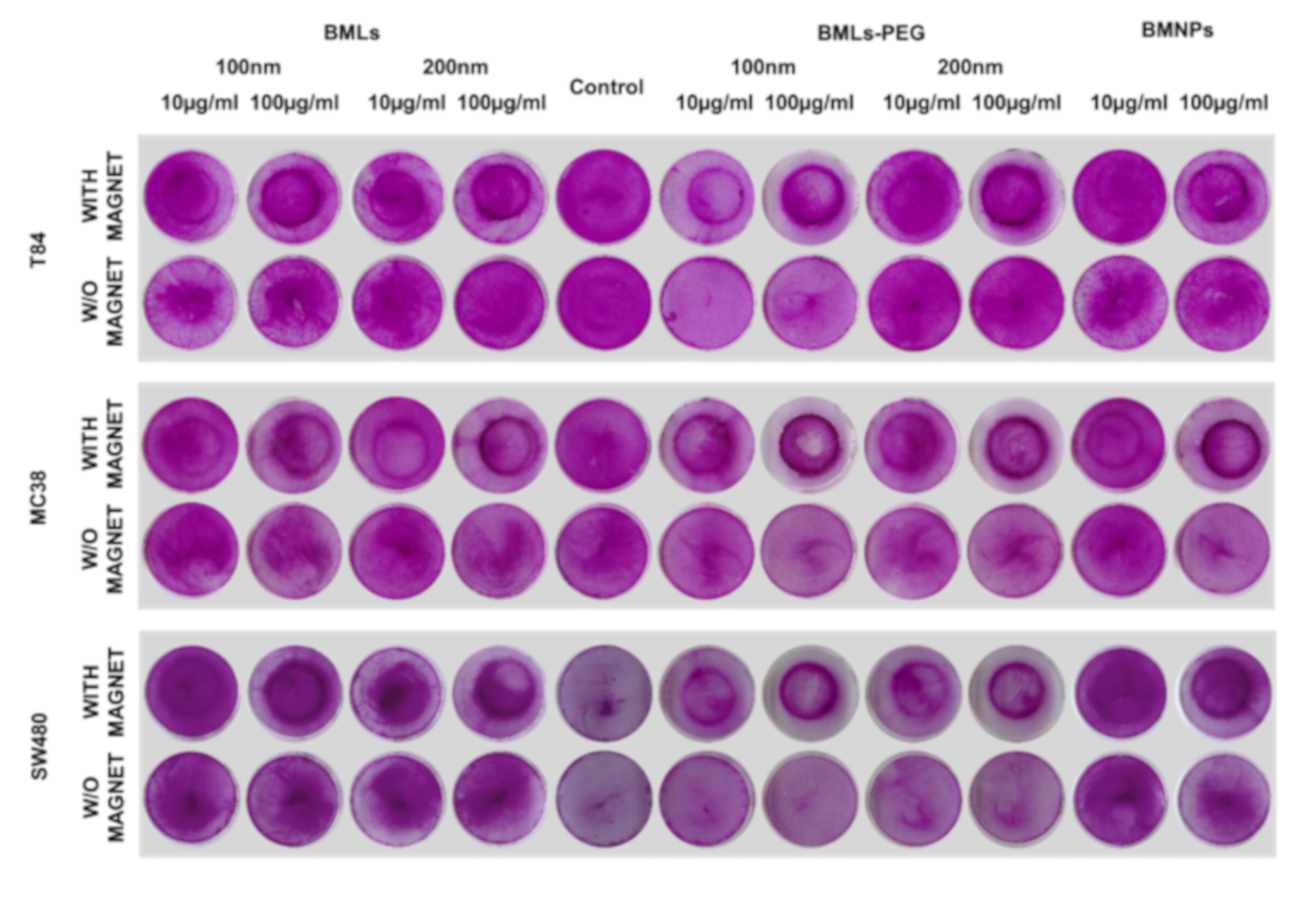 Pharmaceutics 12 00589 g007