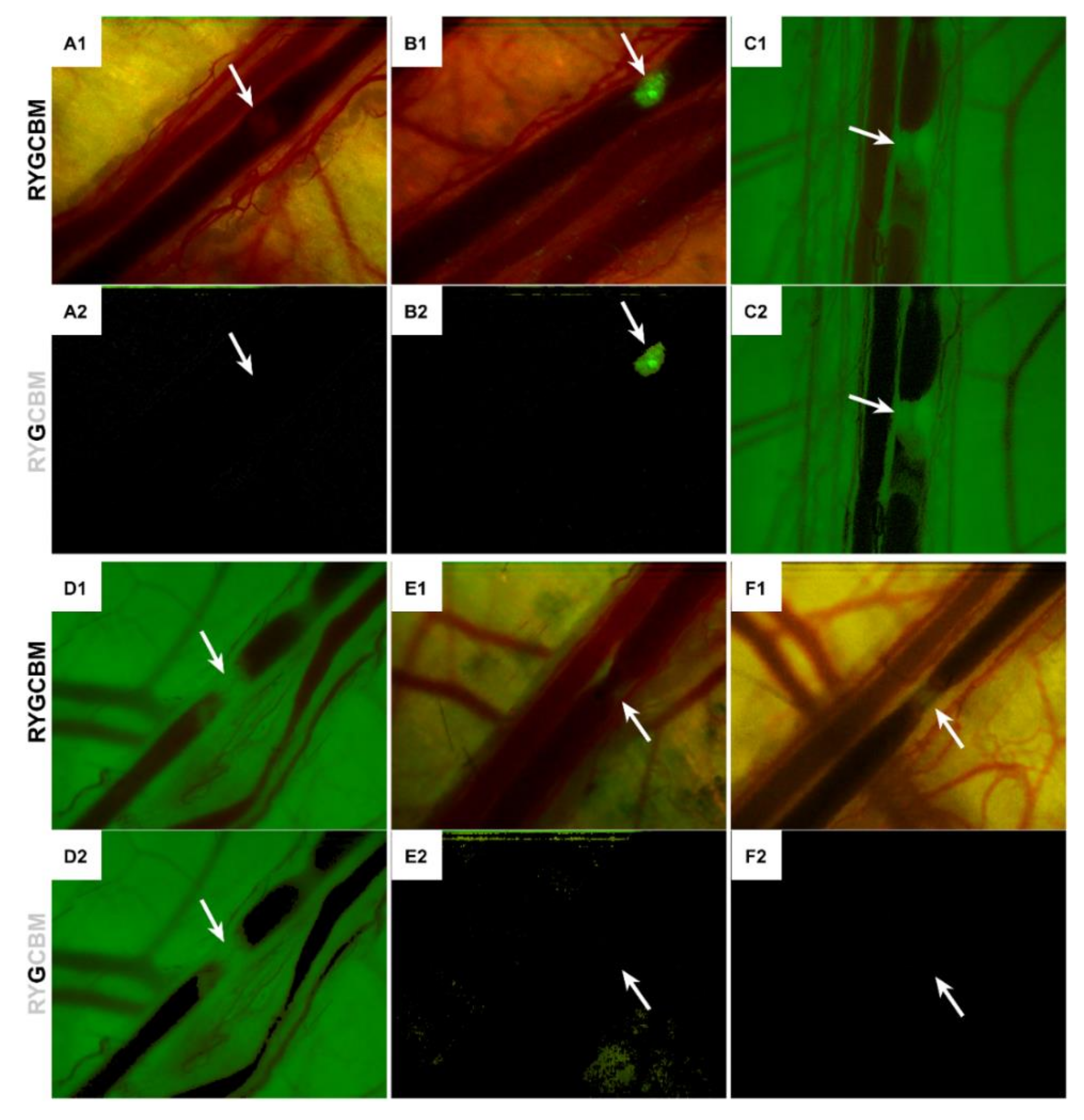 Pharmaceutics 12 00591 g006 Pharmaceutics 12 00591 g006