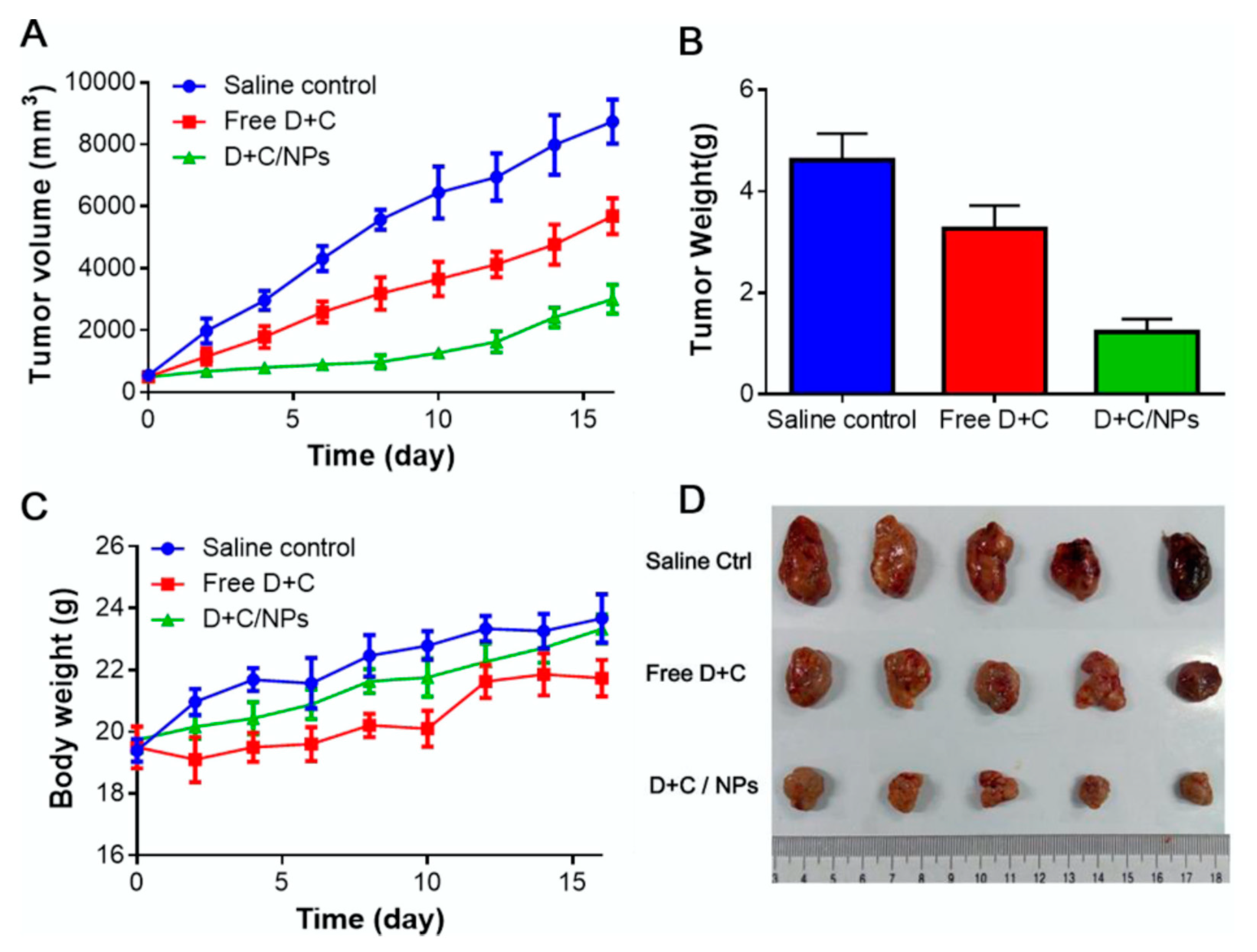 Pharmaceutics 12 00592 g003 Pharmaceutics 12 00592 g003