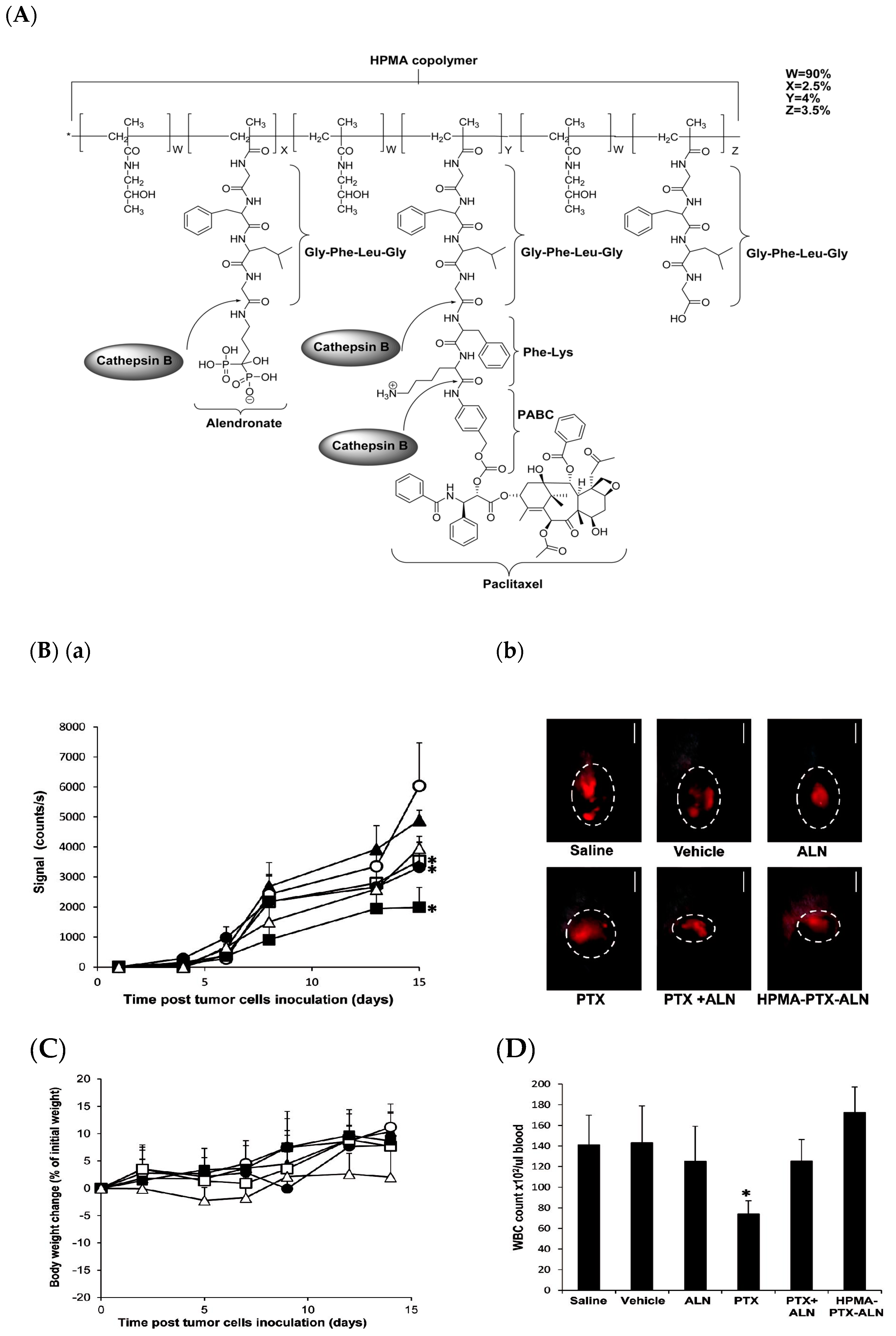 Pharmaceutics 12 00592 g008 Pharmaceutics 12 00592 g008