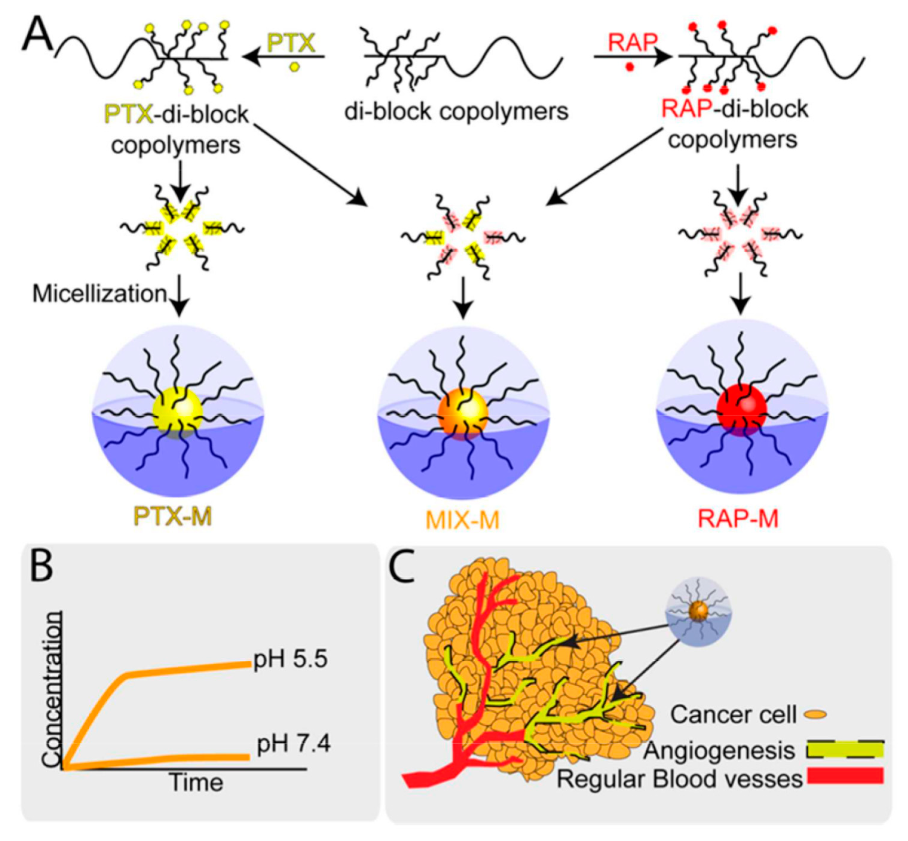 Pharmaceutics 12 00592 g009 Pharmaceutics 12 00592 g009