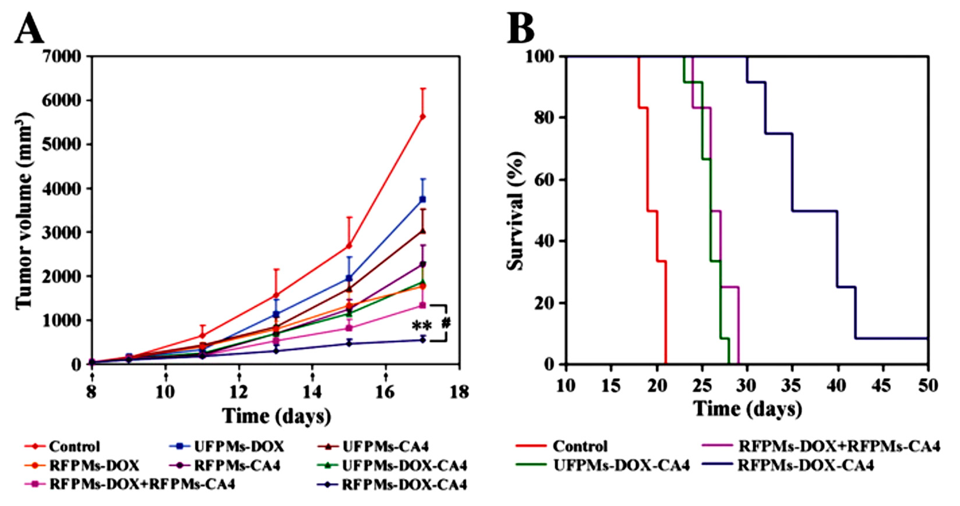 Pharmaceutics 12 00592 g010 Pharmaceutics 12 00592 g010