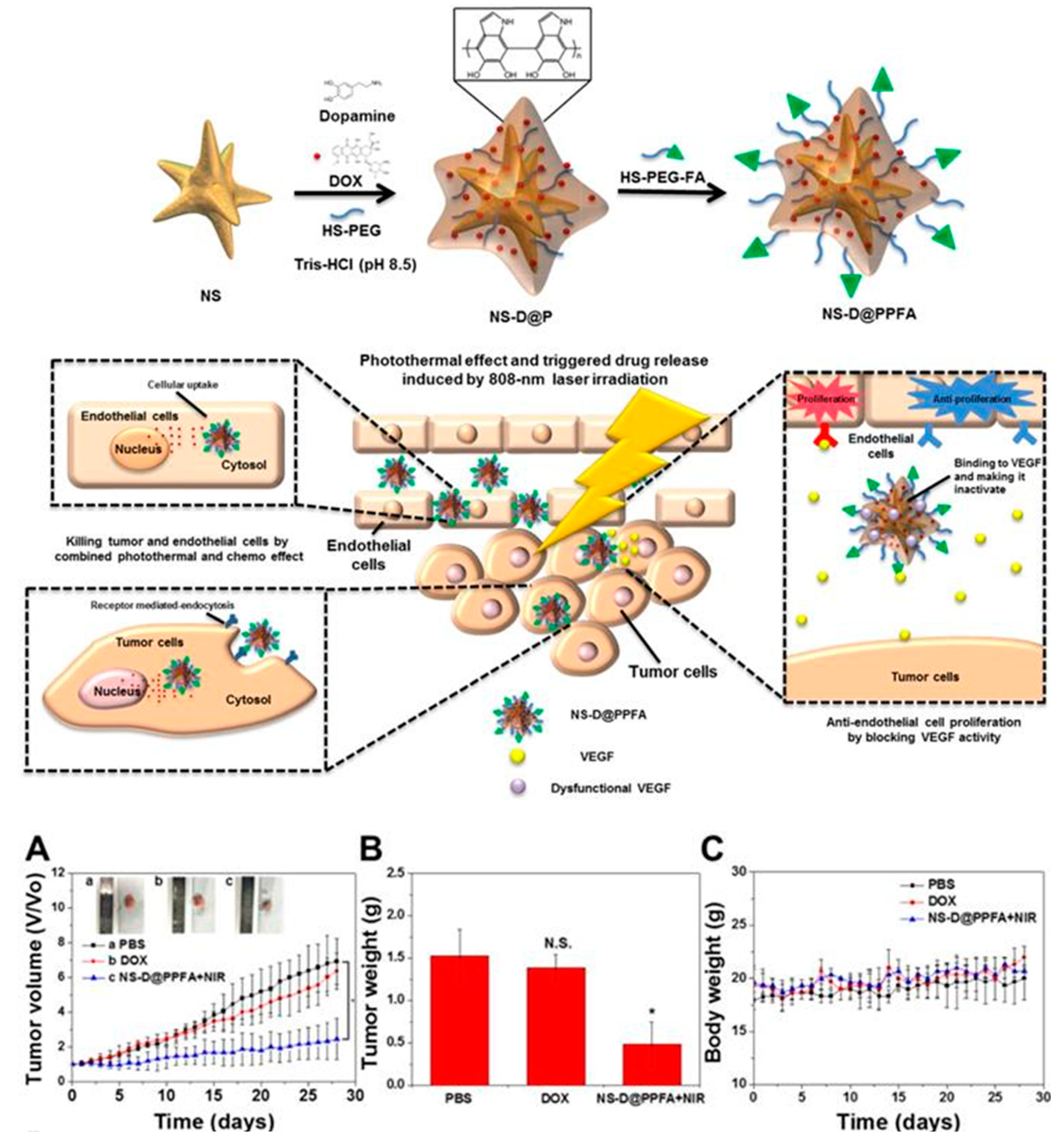 Pharmaceutics 12 00592 g014 Pharmaceutics 12 00592 g014