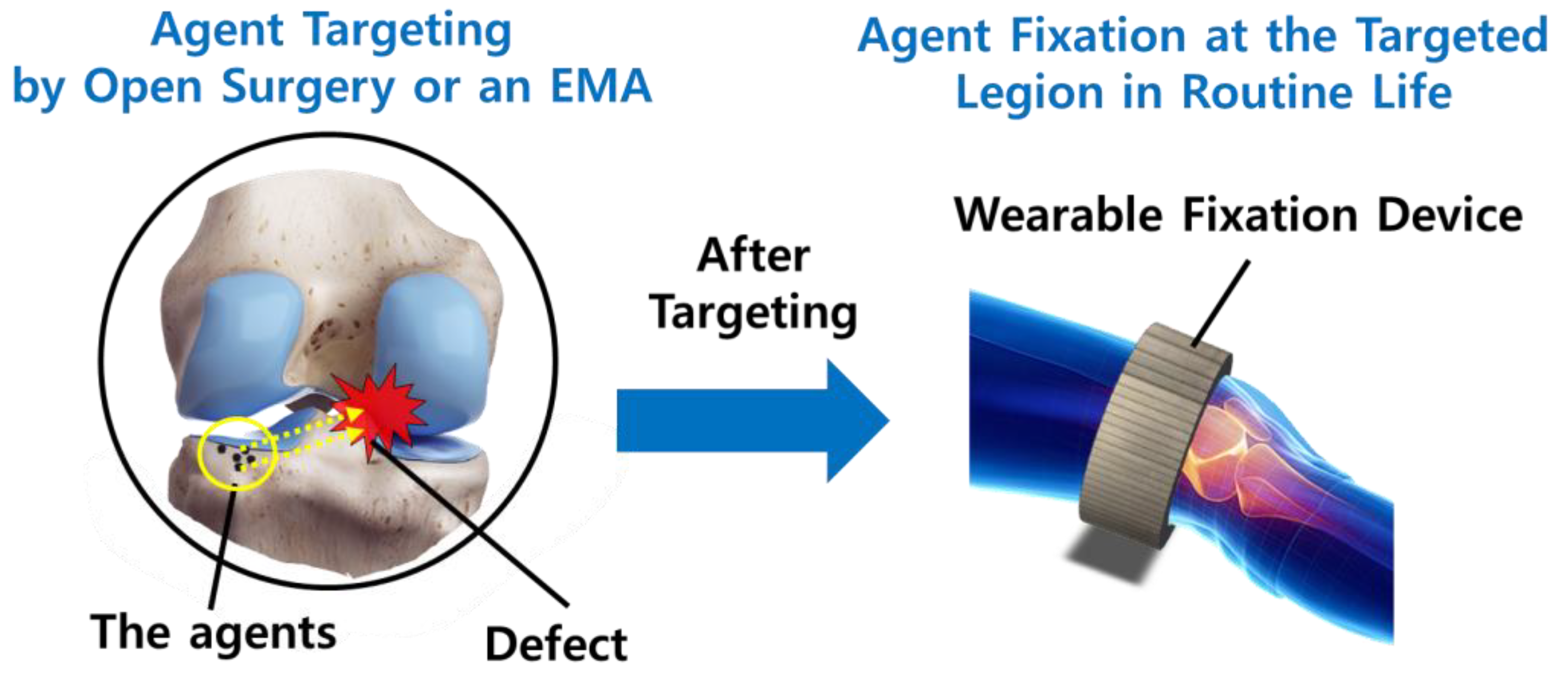 Pharmaceutics 12 00593 g001
