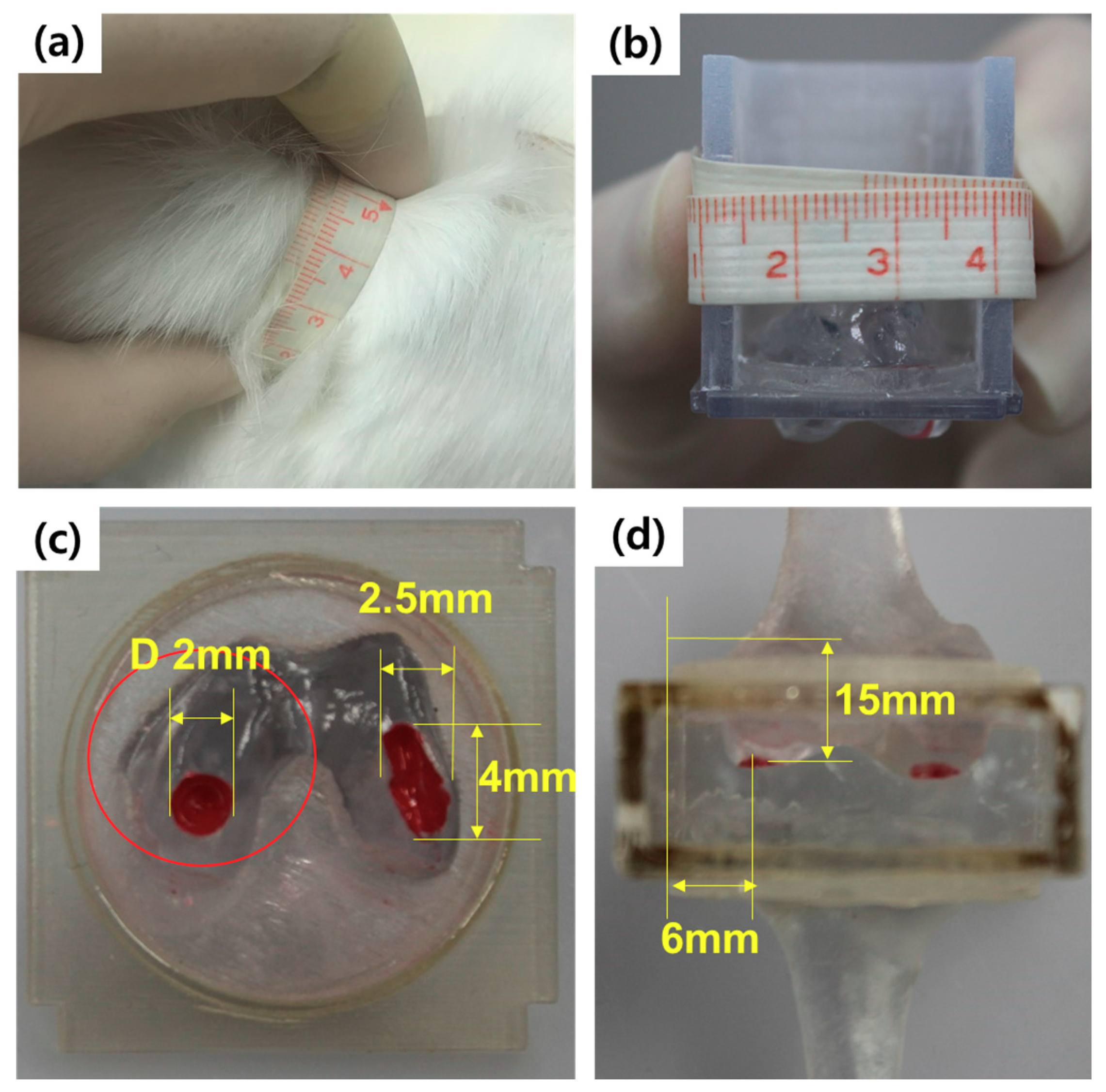 Pharmaceutics 12 00593 g004