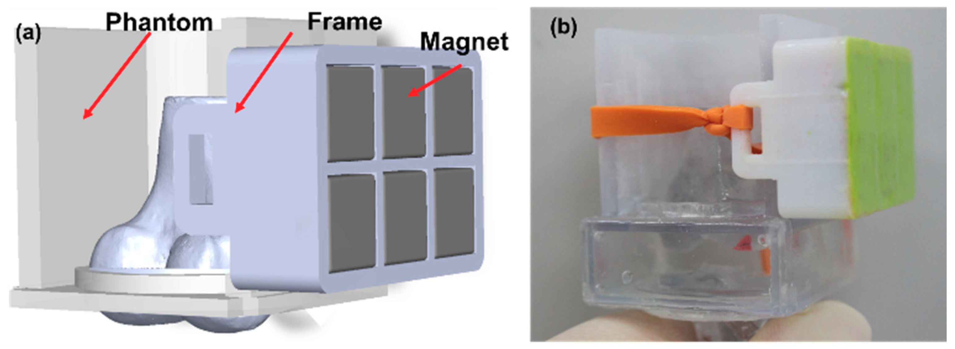 Pharmaceutics 12 00593 g007
