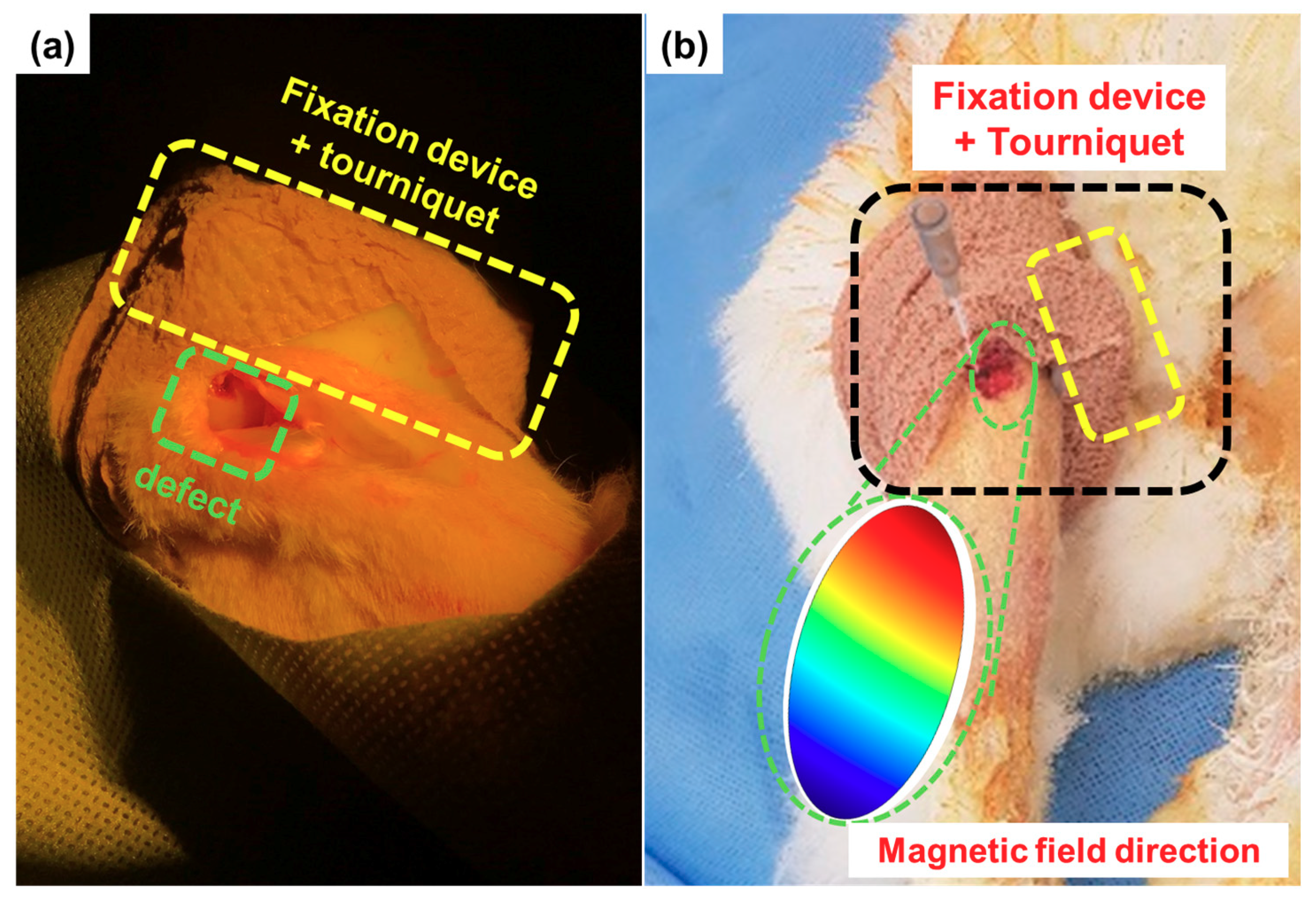 Pharmaceutics 12 00593 g009