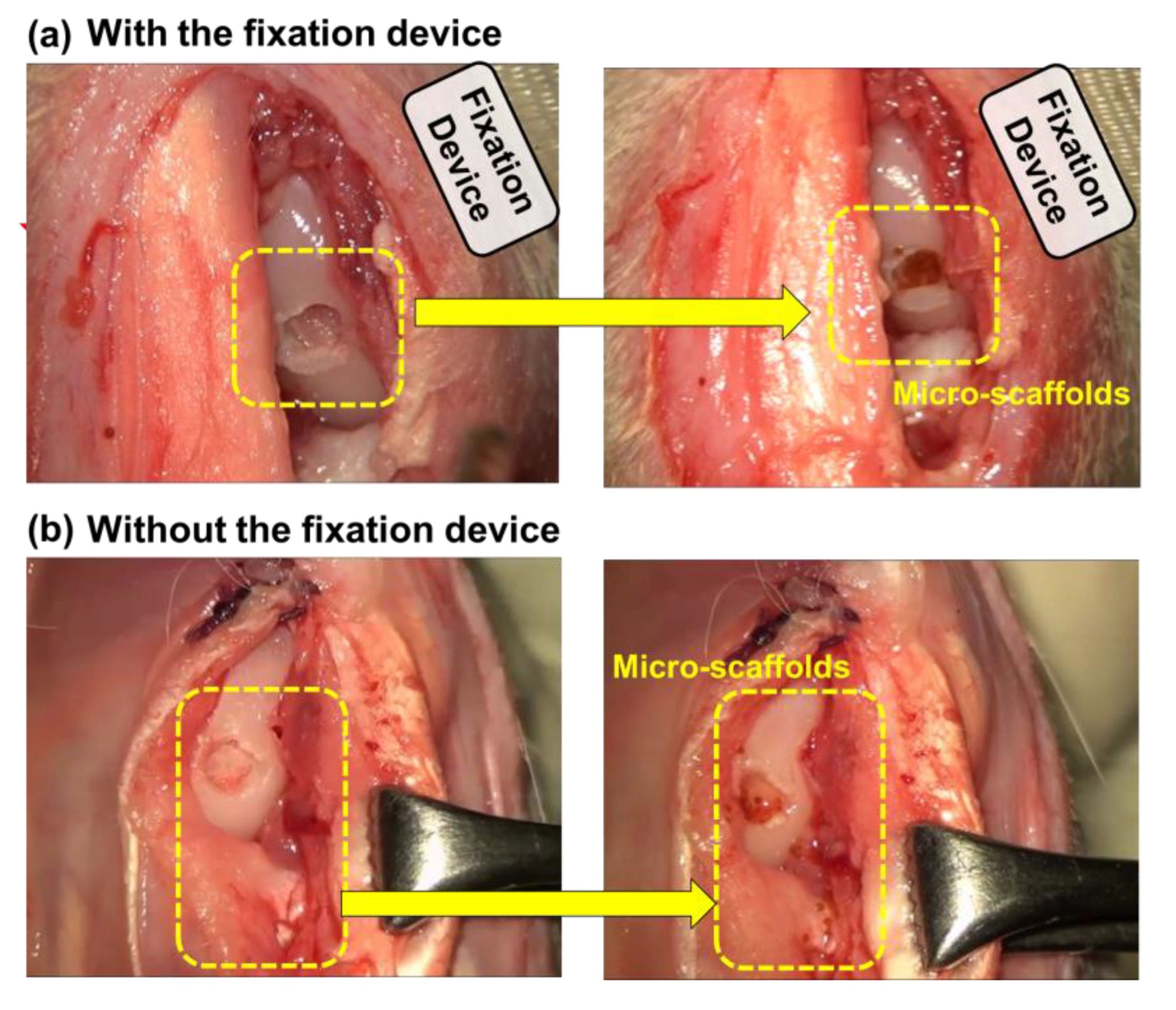 Pharmaceutics 12 00593 g010