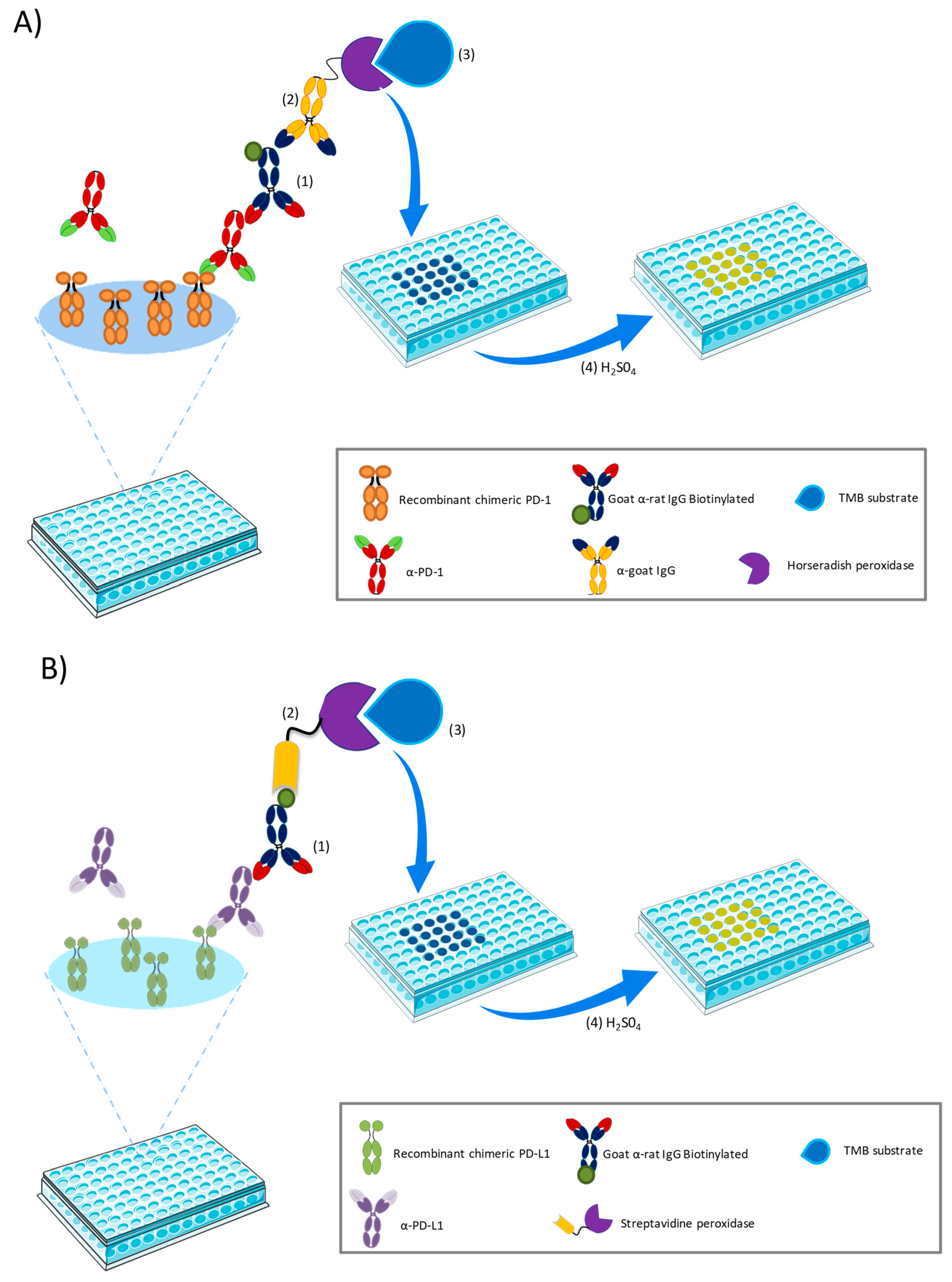 Pharmaceutics 12 00595 g002