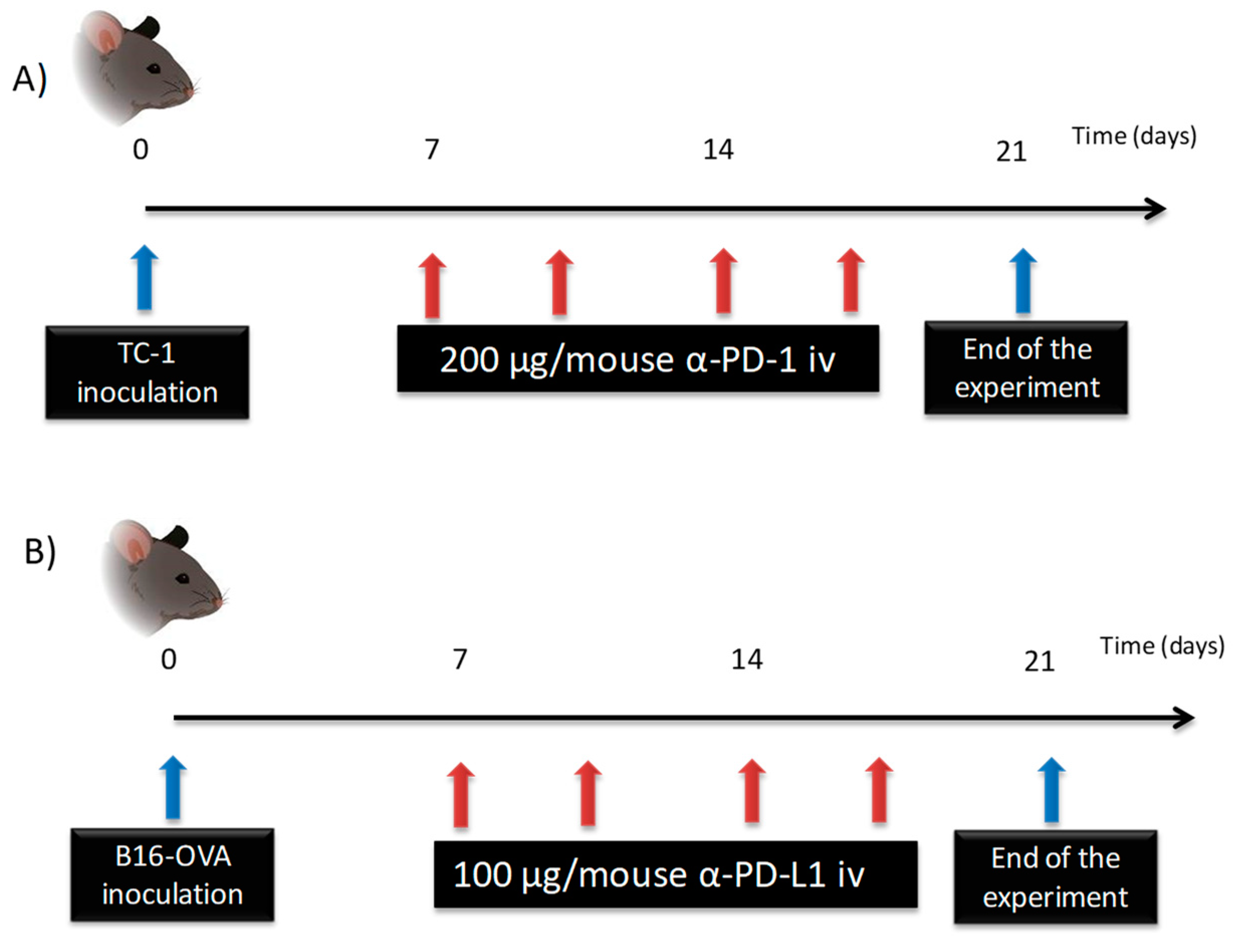 Pharmaceutics 12 00595 g003