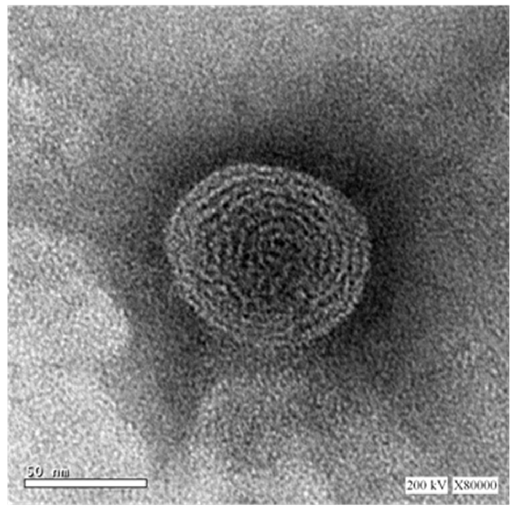 Pharmaceutics 12 00597 g004