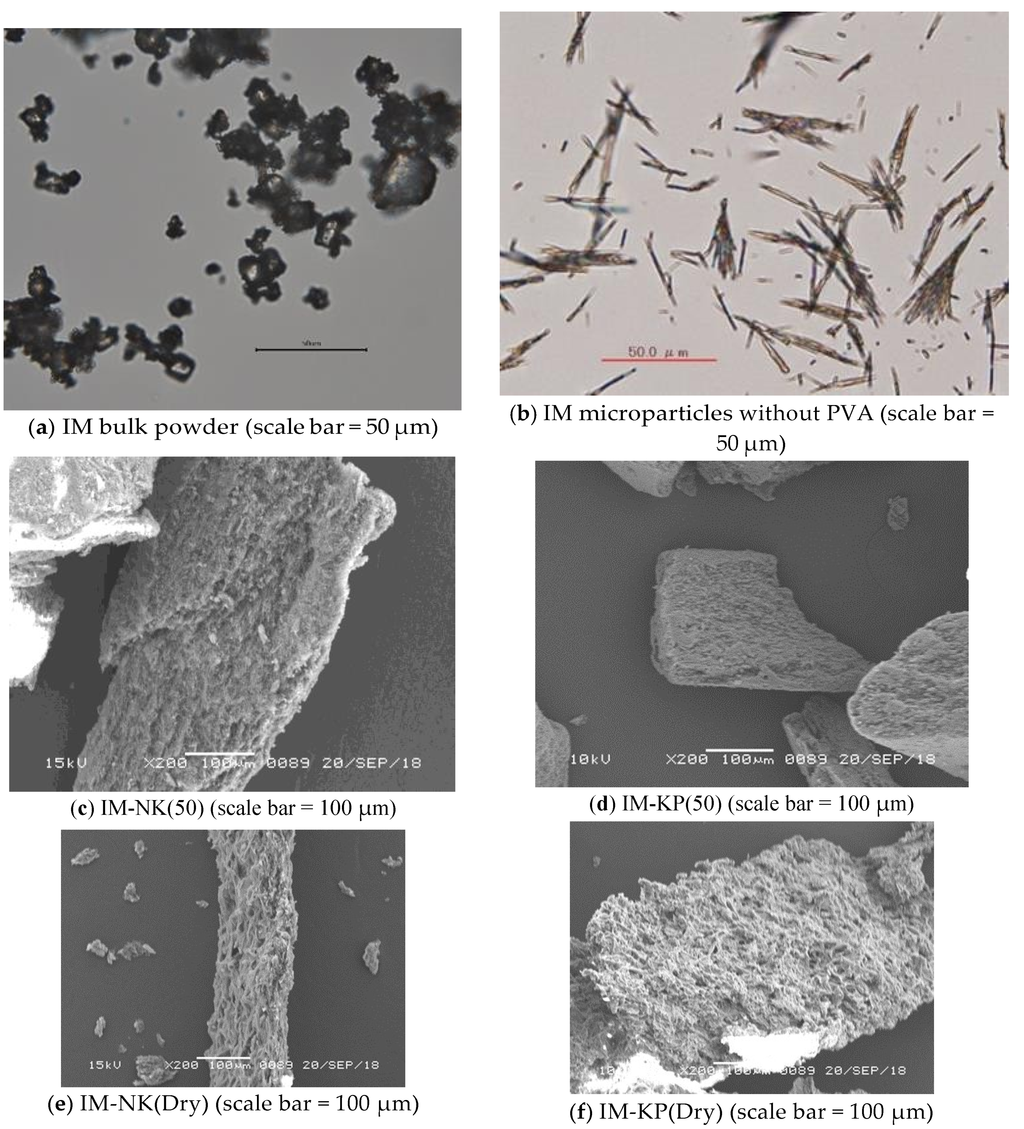 Pharmaceutics 12 00603 g004 Pharmaceutics 12 00603 g004
